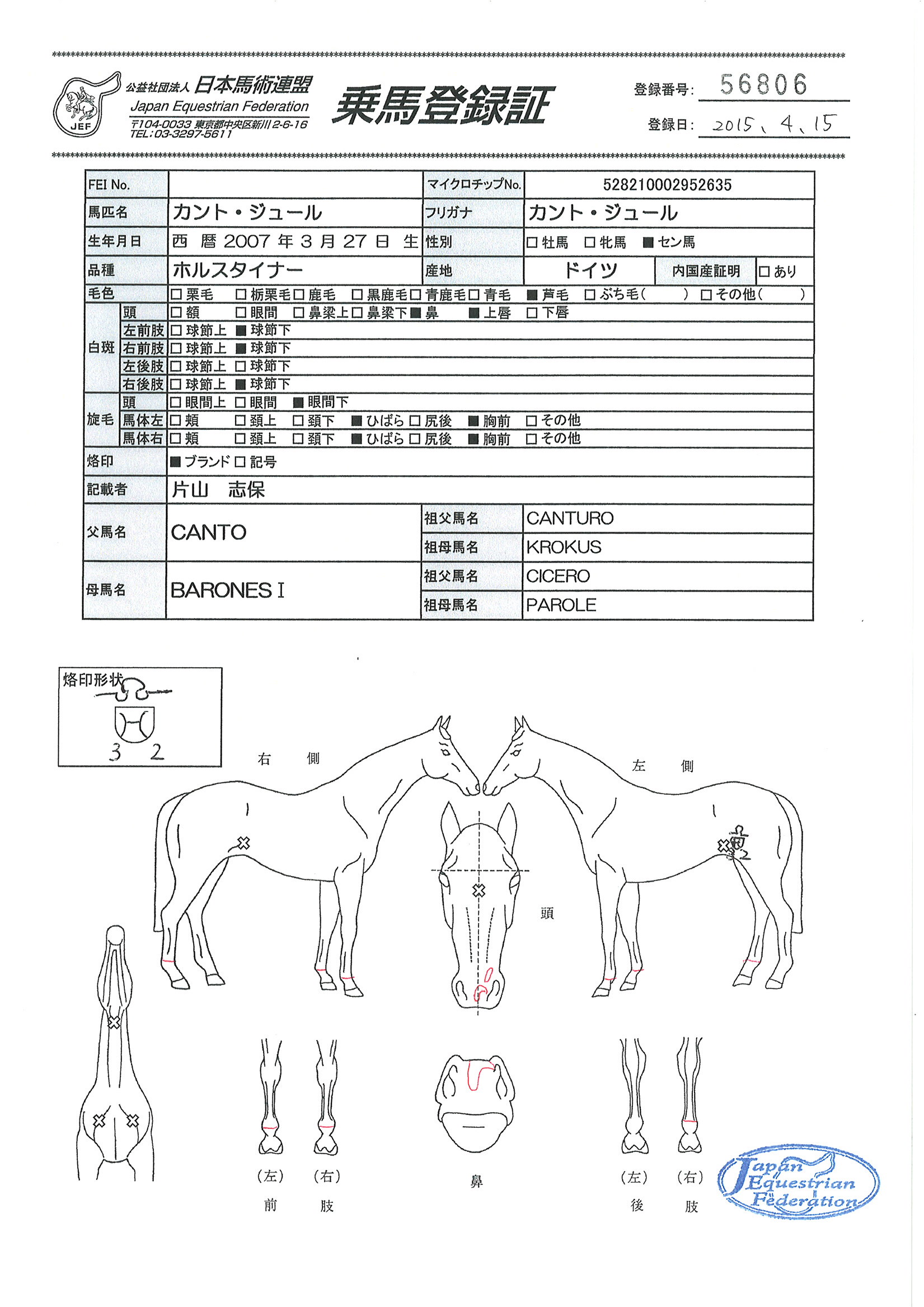 乗馬登録証