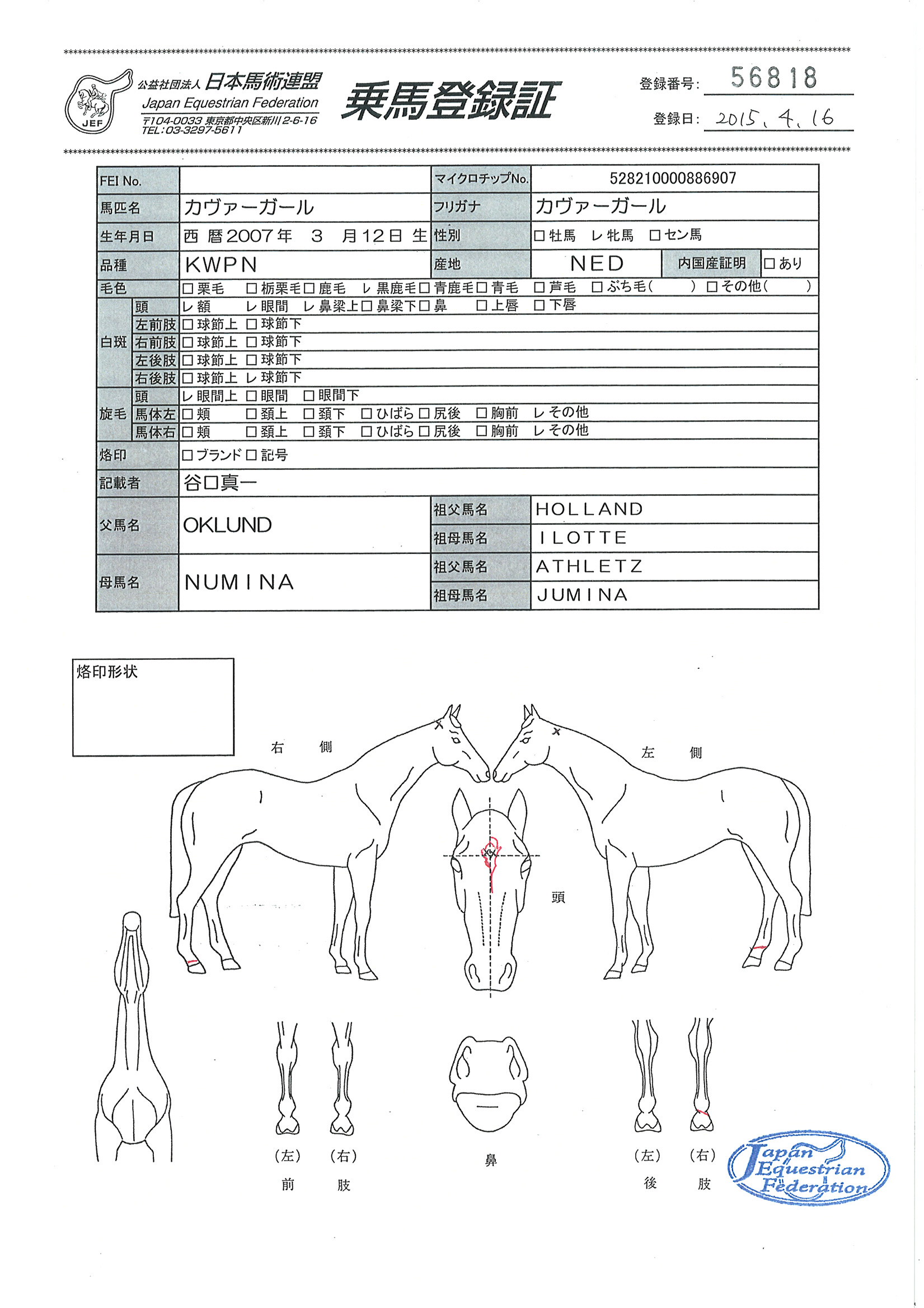 乗馬登録証