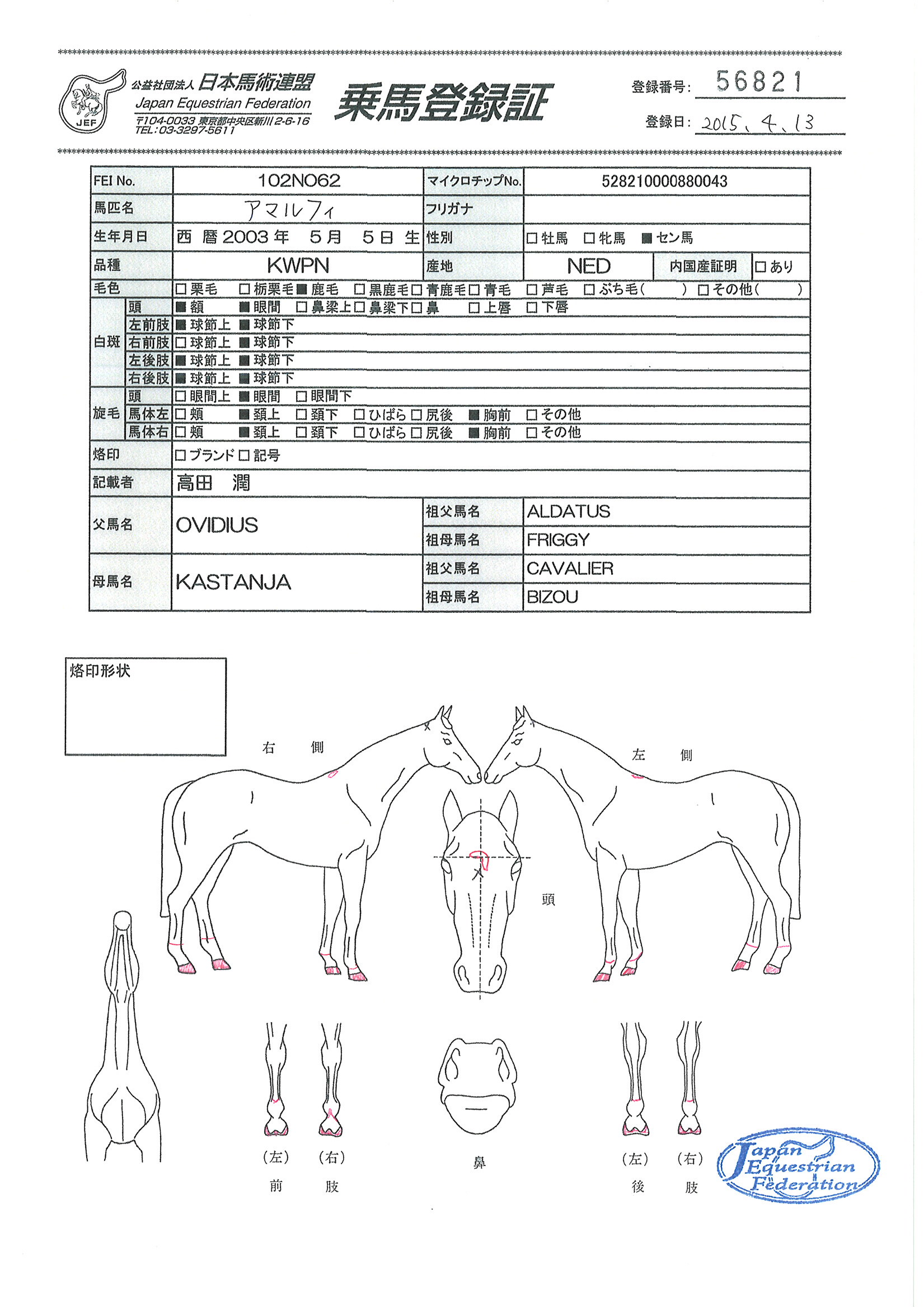 乗馬登録証