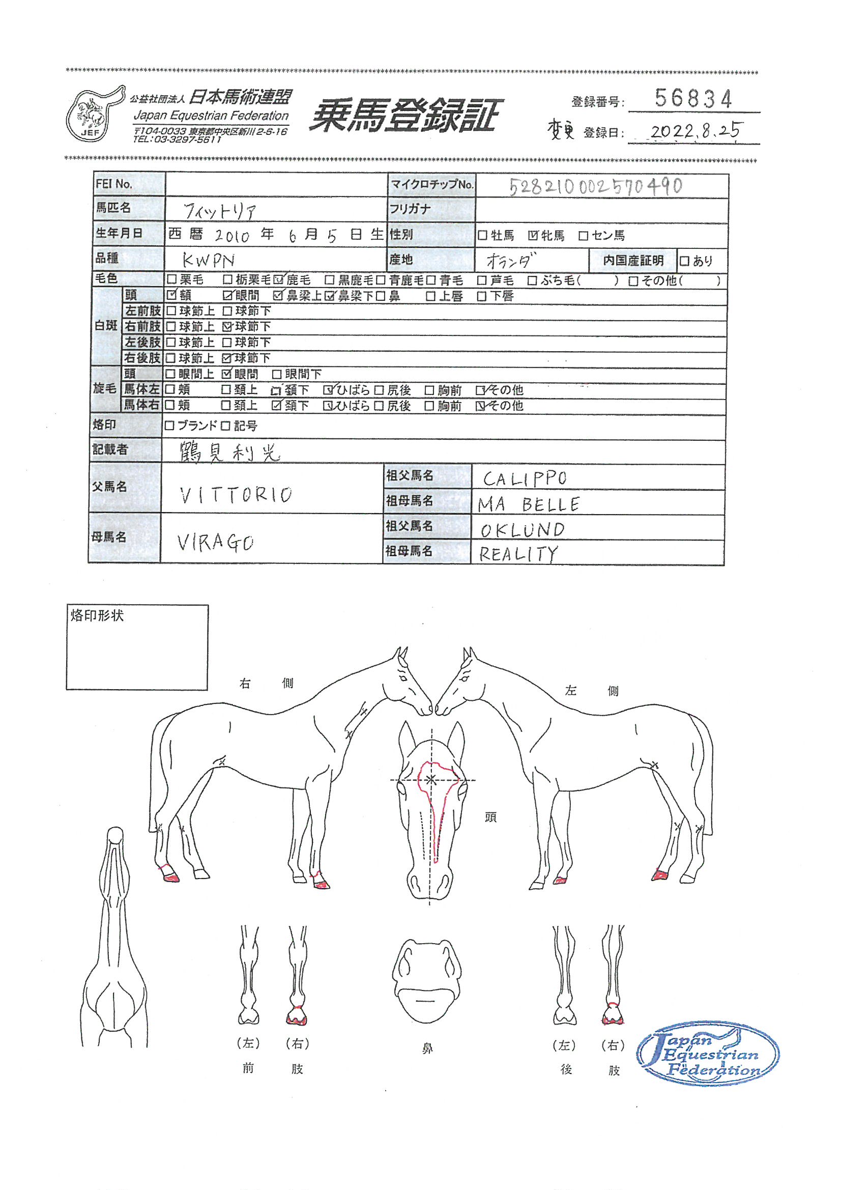 公益社団法人 日本馬術連盟 《Japan Equestrian Federation 公益社団法人 日本馬術連盟 《Japan Equestrian Federation
