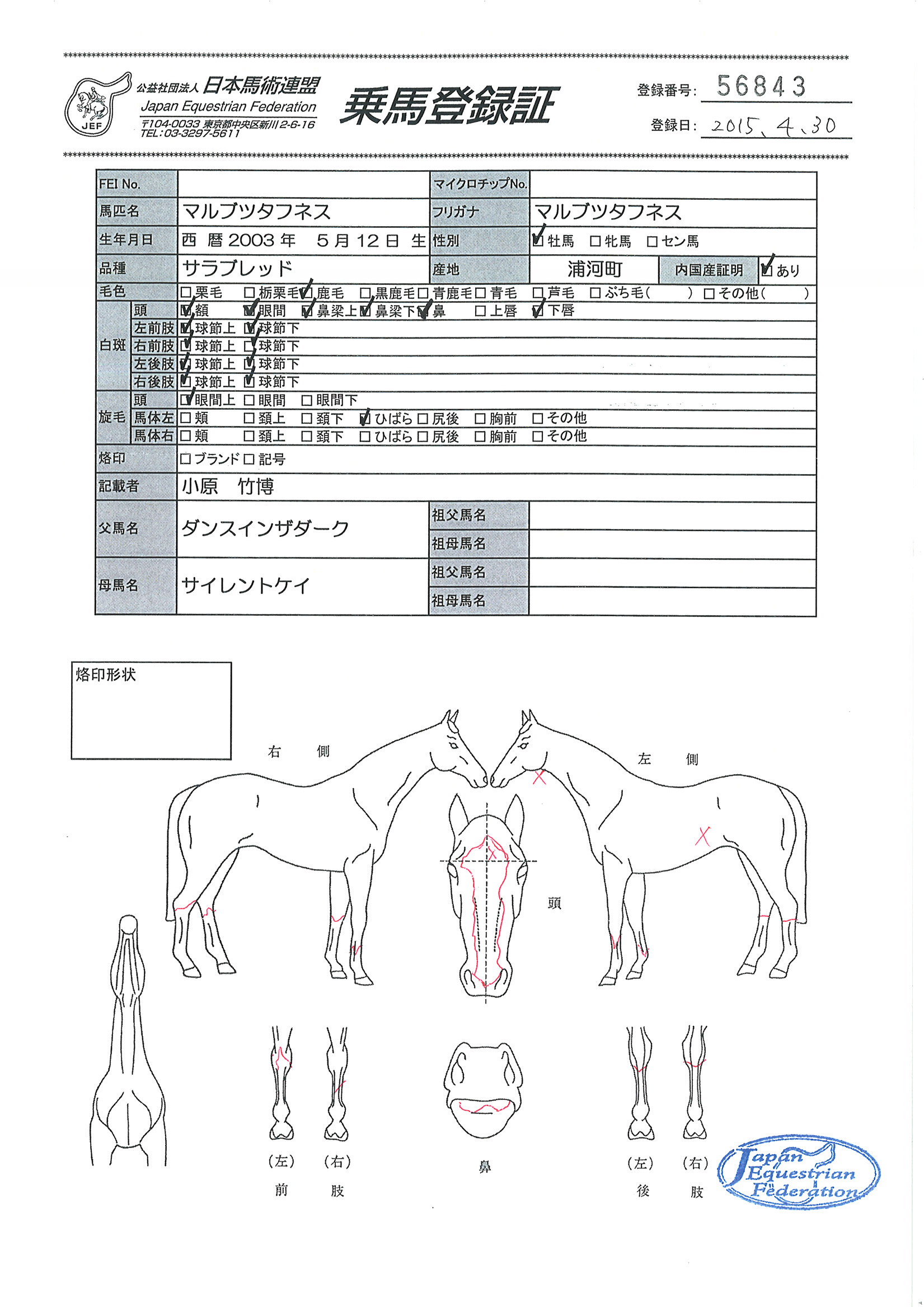 乗馬登録証