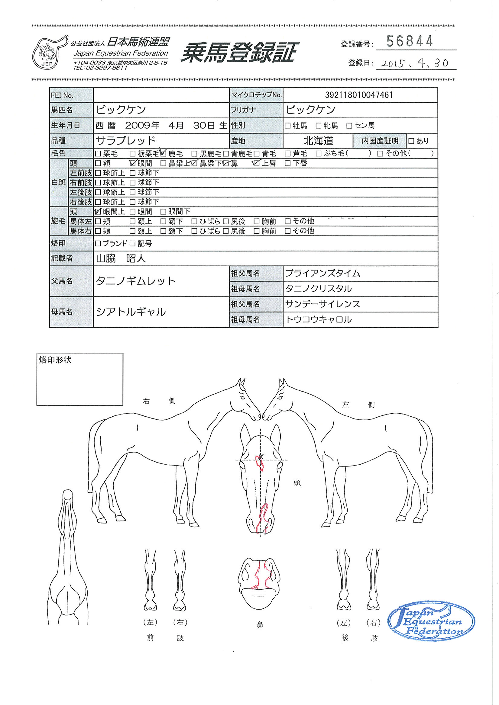 乗馬登録証