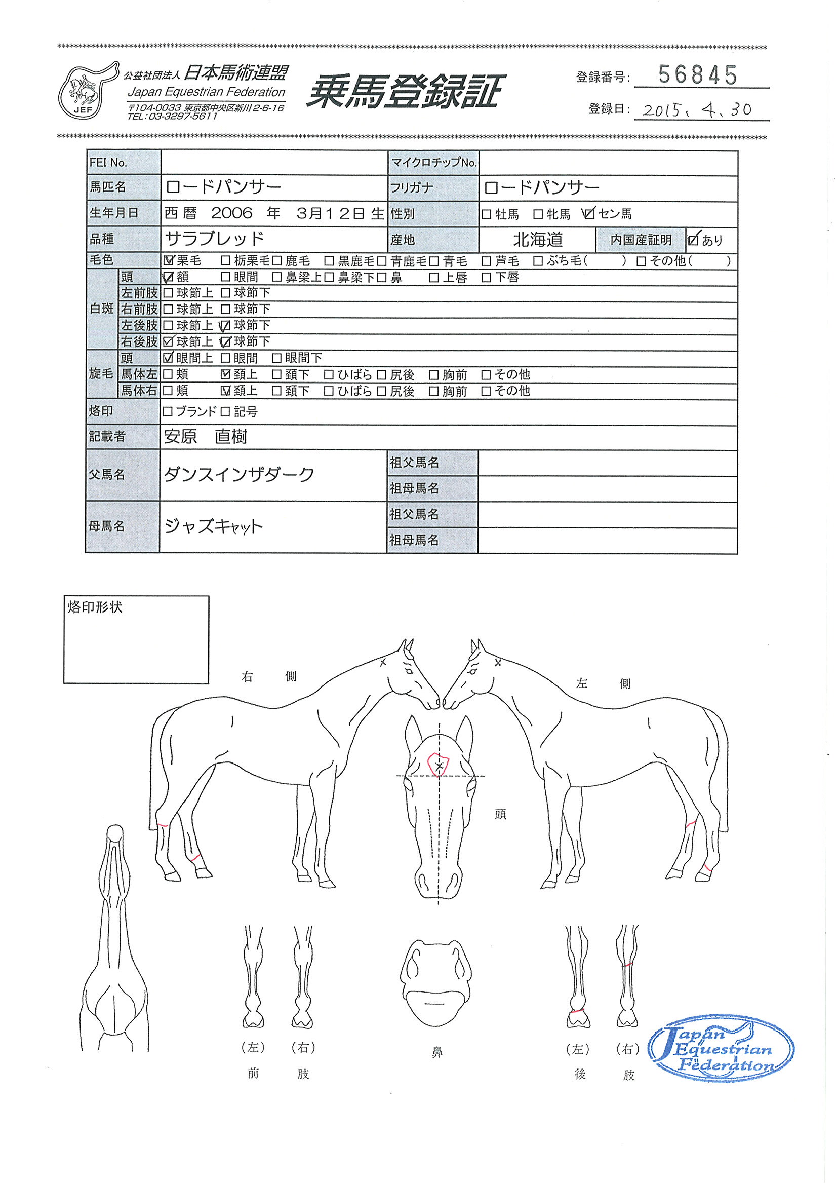 乗馬登録証