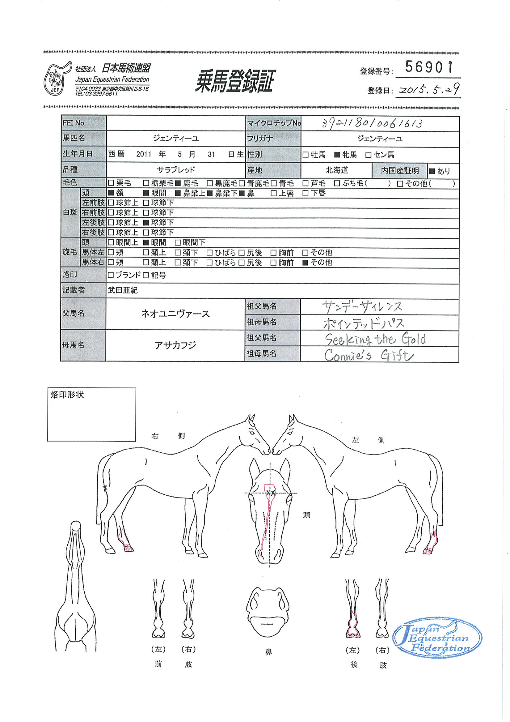 乗馬登録証