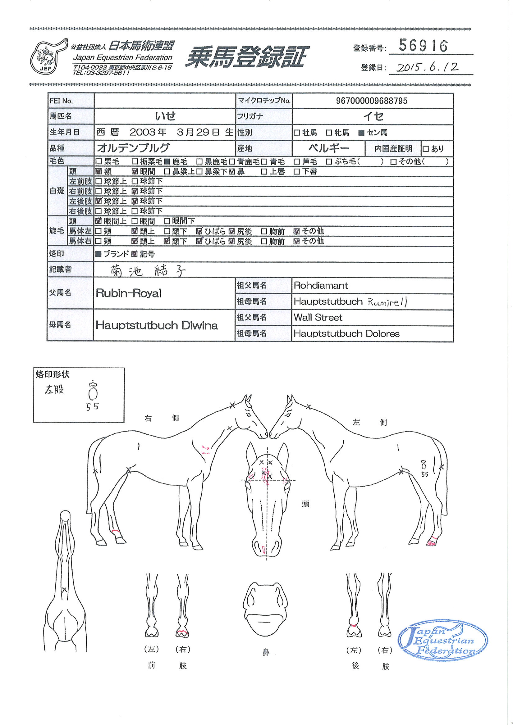 乗馬登録証