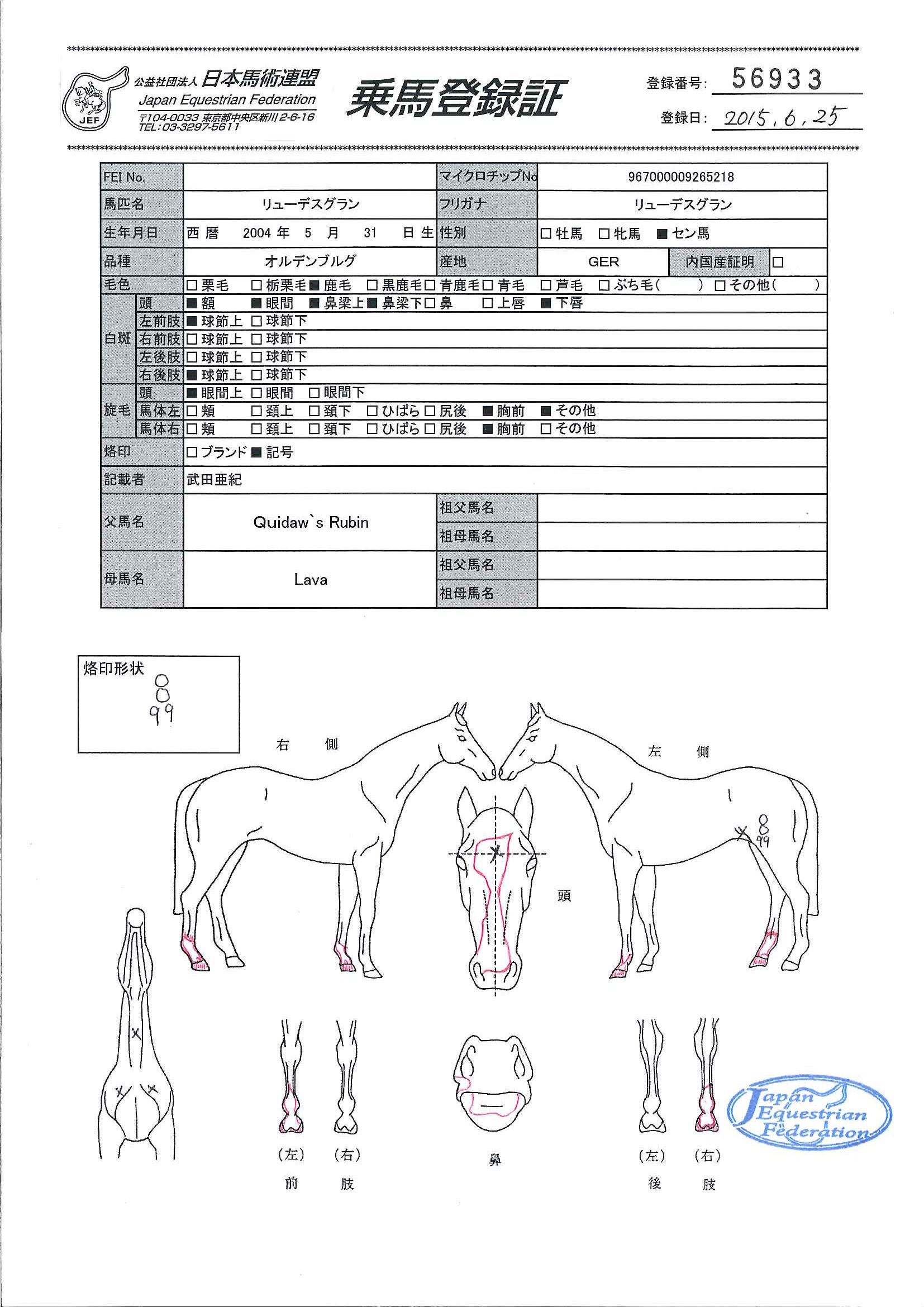 乗馬登録証