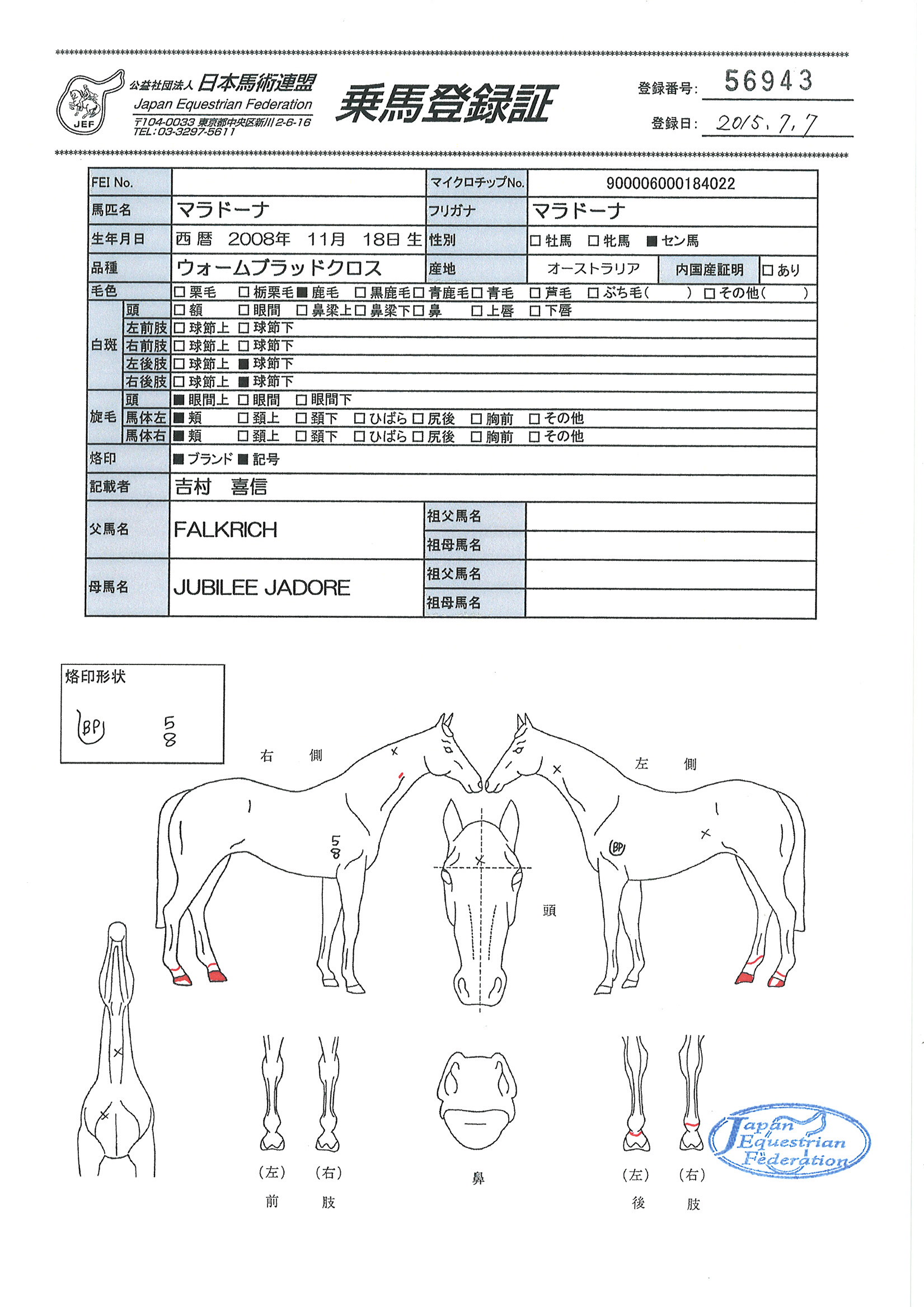 乗馬登録証