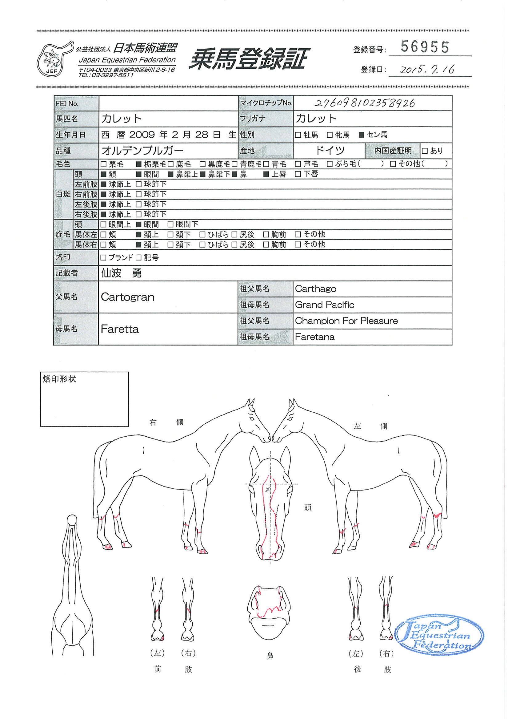 馬のくら 647cg2_900.jpg