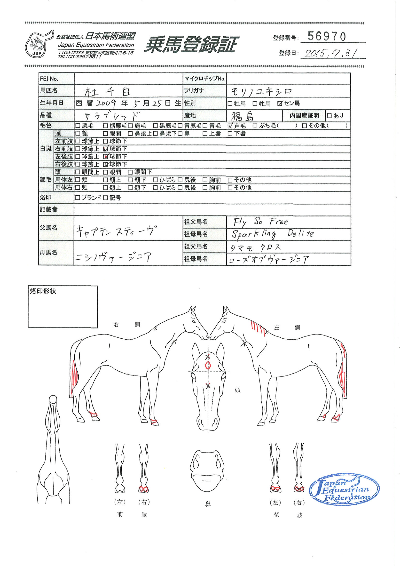 乗馬登録証