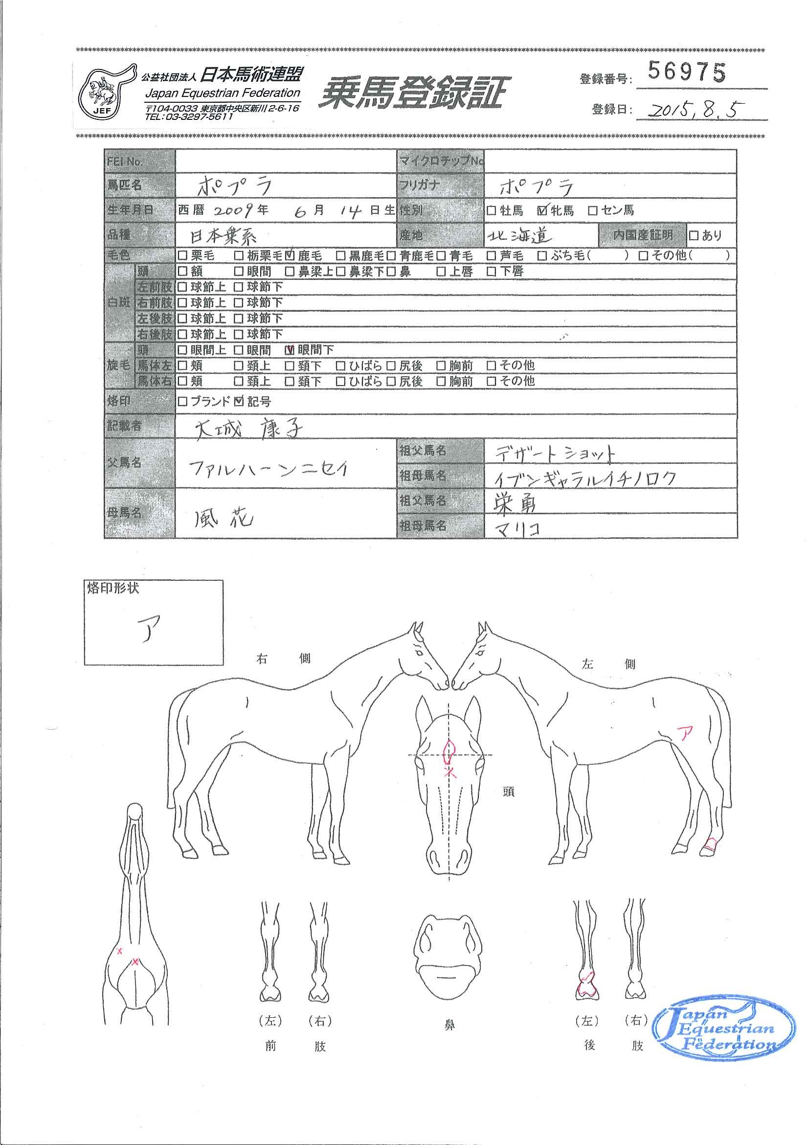 乗馬登録証