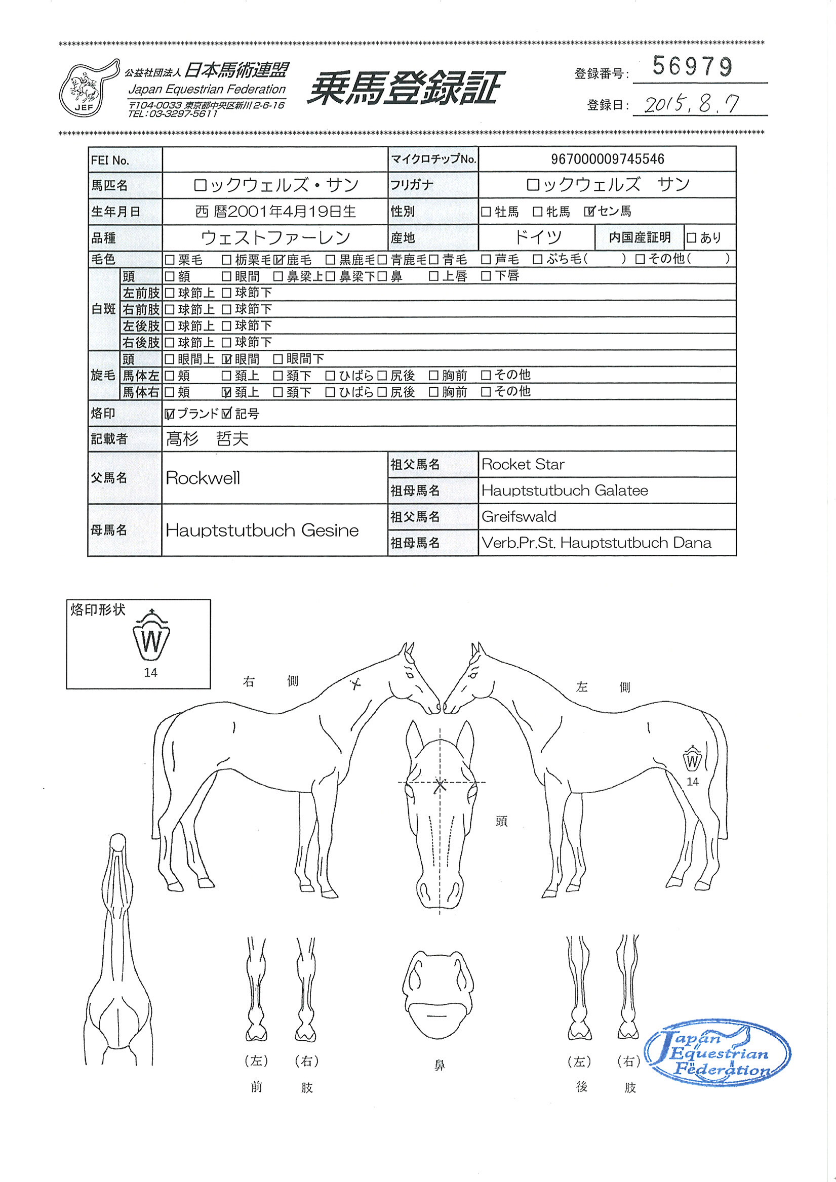 乗馬登録証