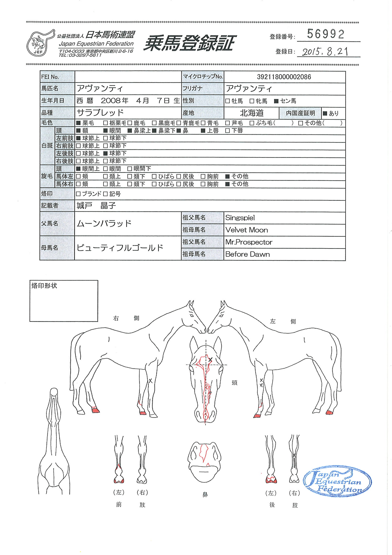 乗馬登録証