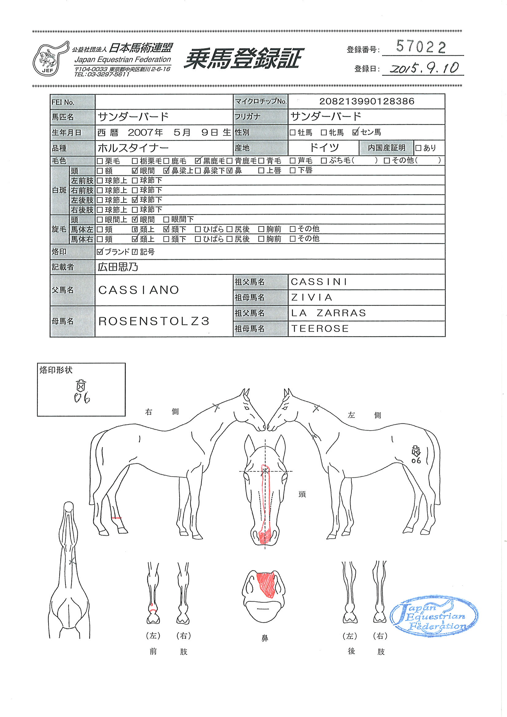 乗馬登録証