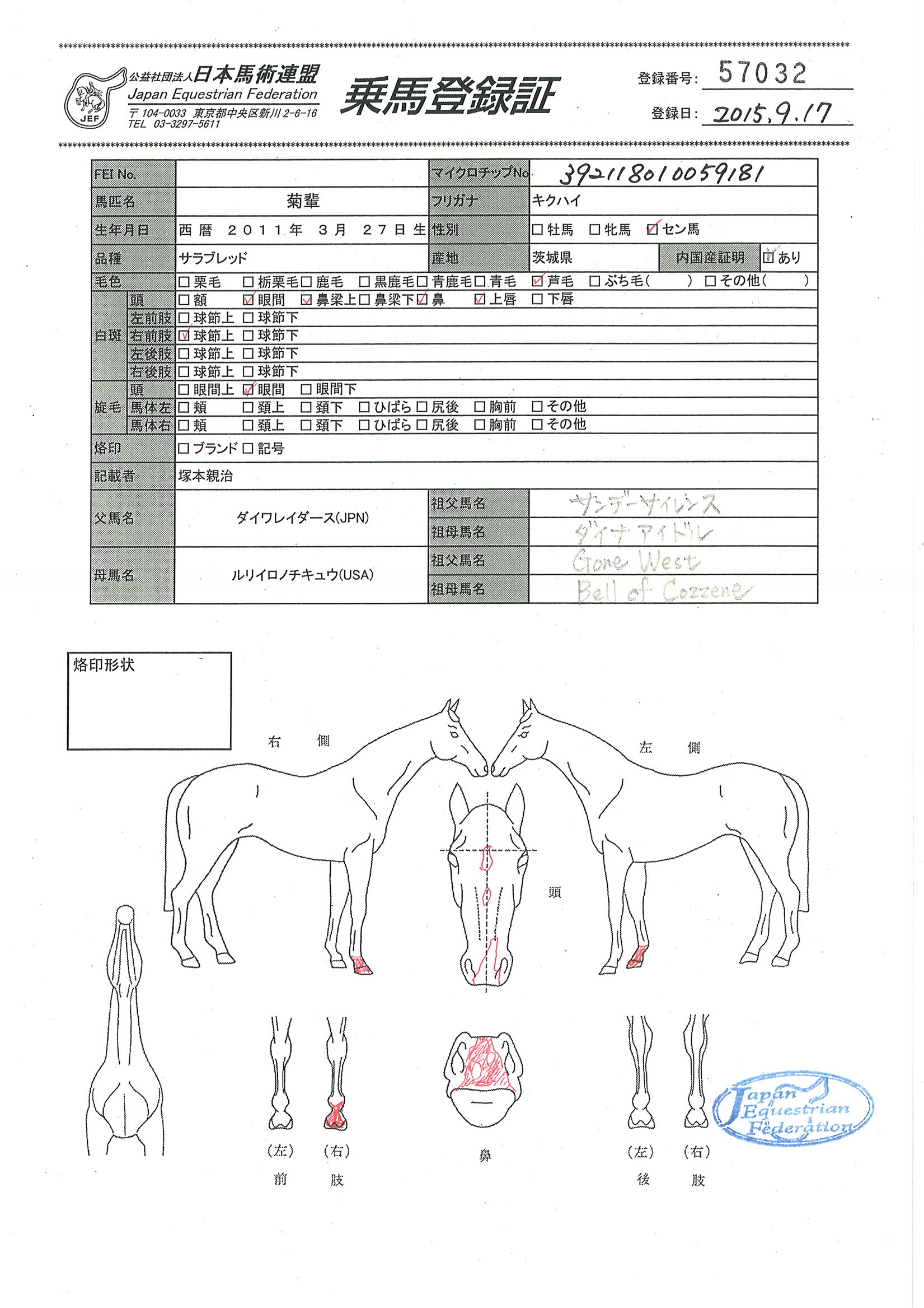 乗馬登録証