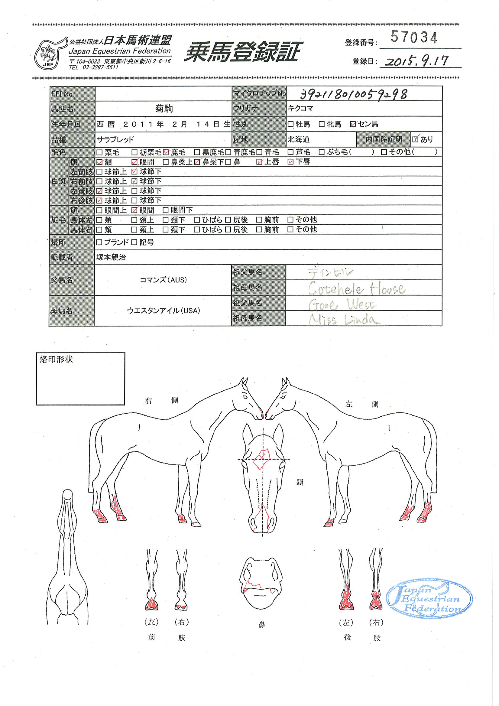 乗馬登録証