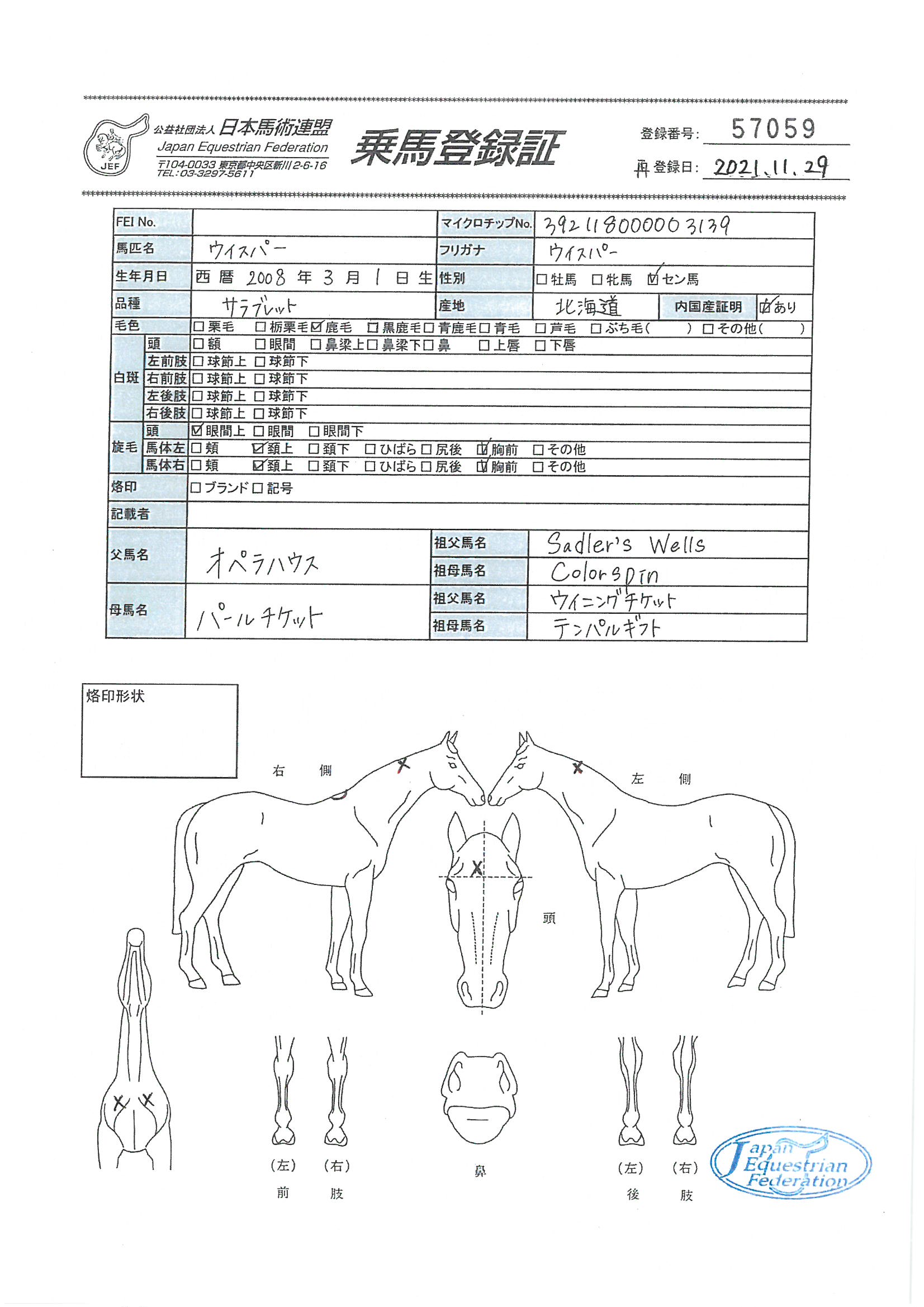 乗馬登録証
