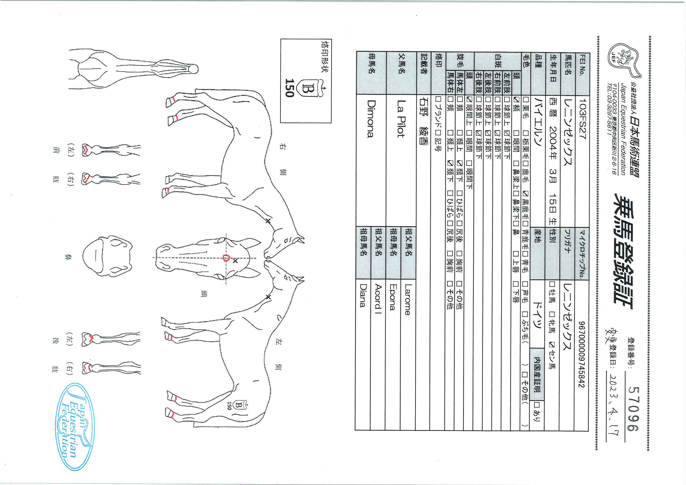 公益社団法人 日本馬術連盟 《Japan Equestrian Federation 公益社団法人 日本馬術連盟 《Japan Equestrian Federation
