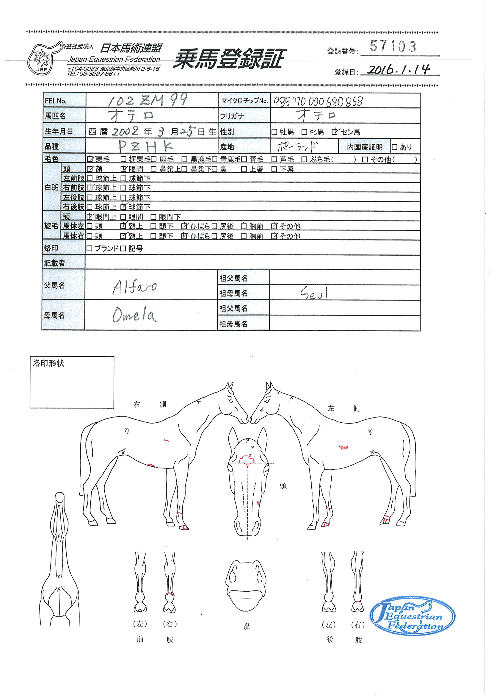 乗馬登録証