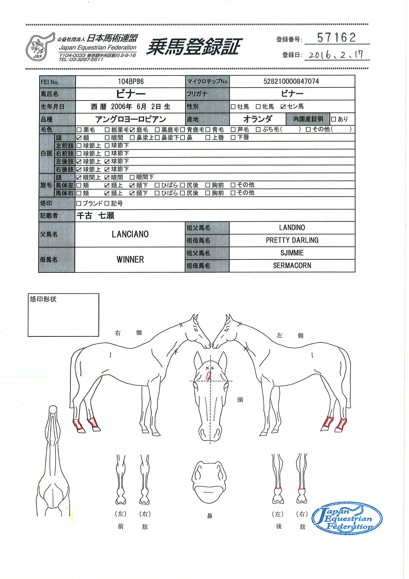 乗馬登録証