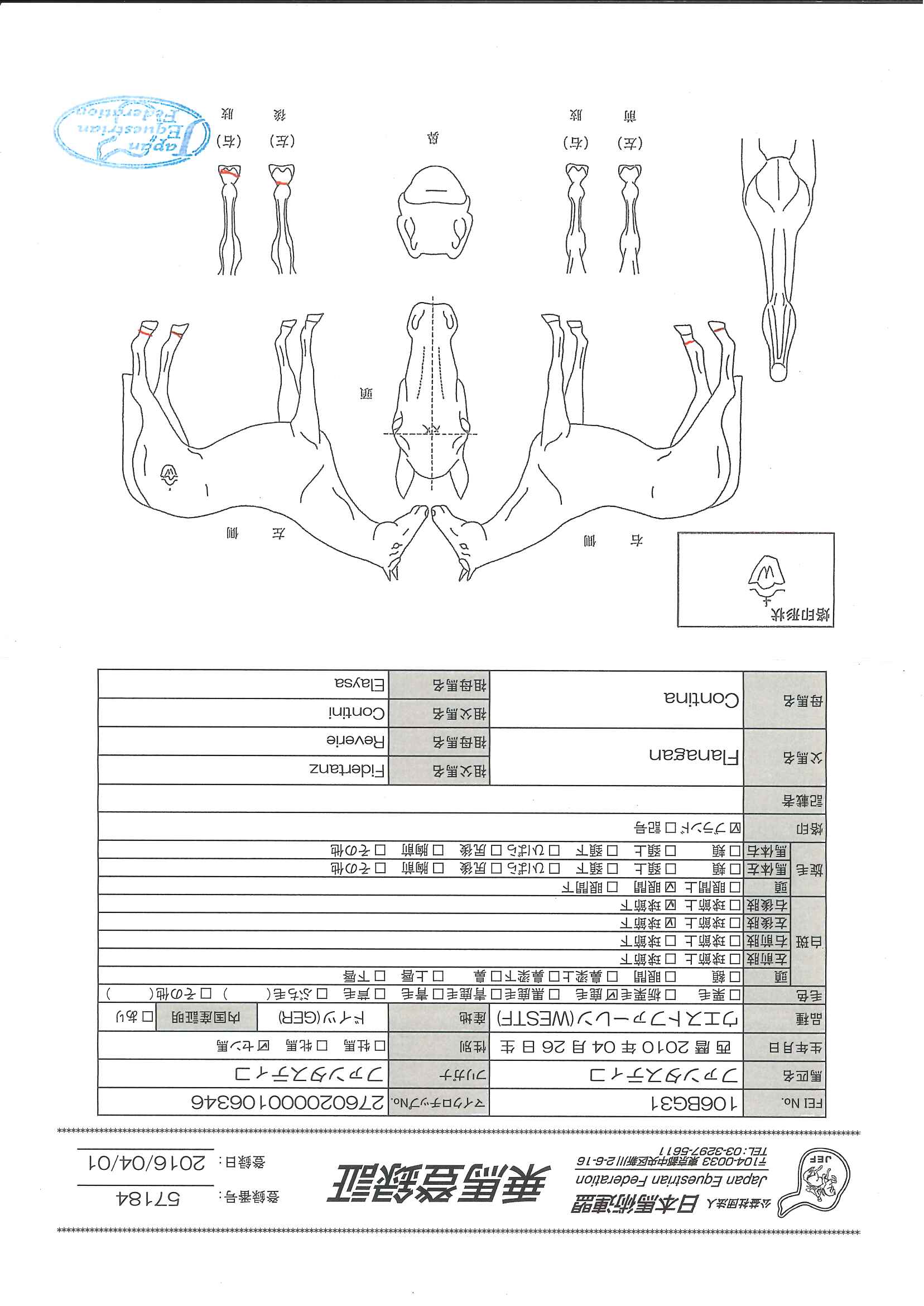 乗馬登録証
