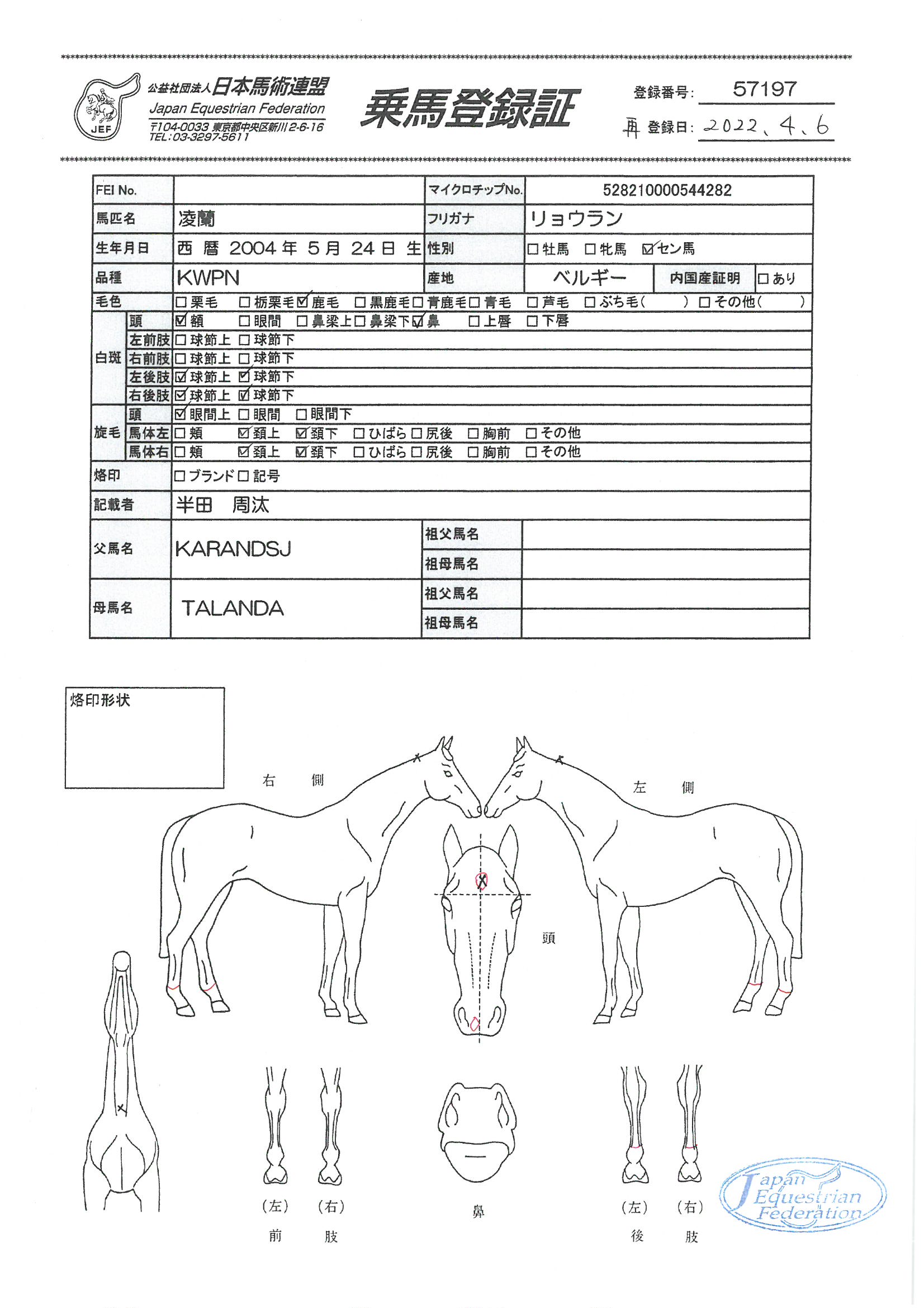 乗馬登録証
