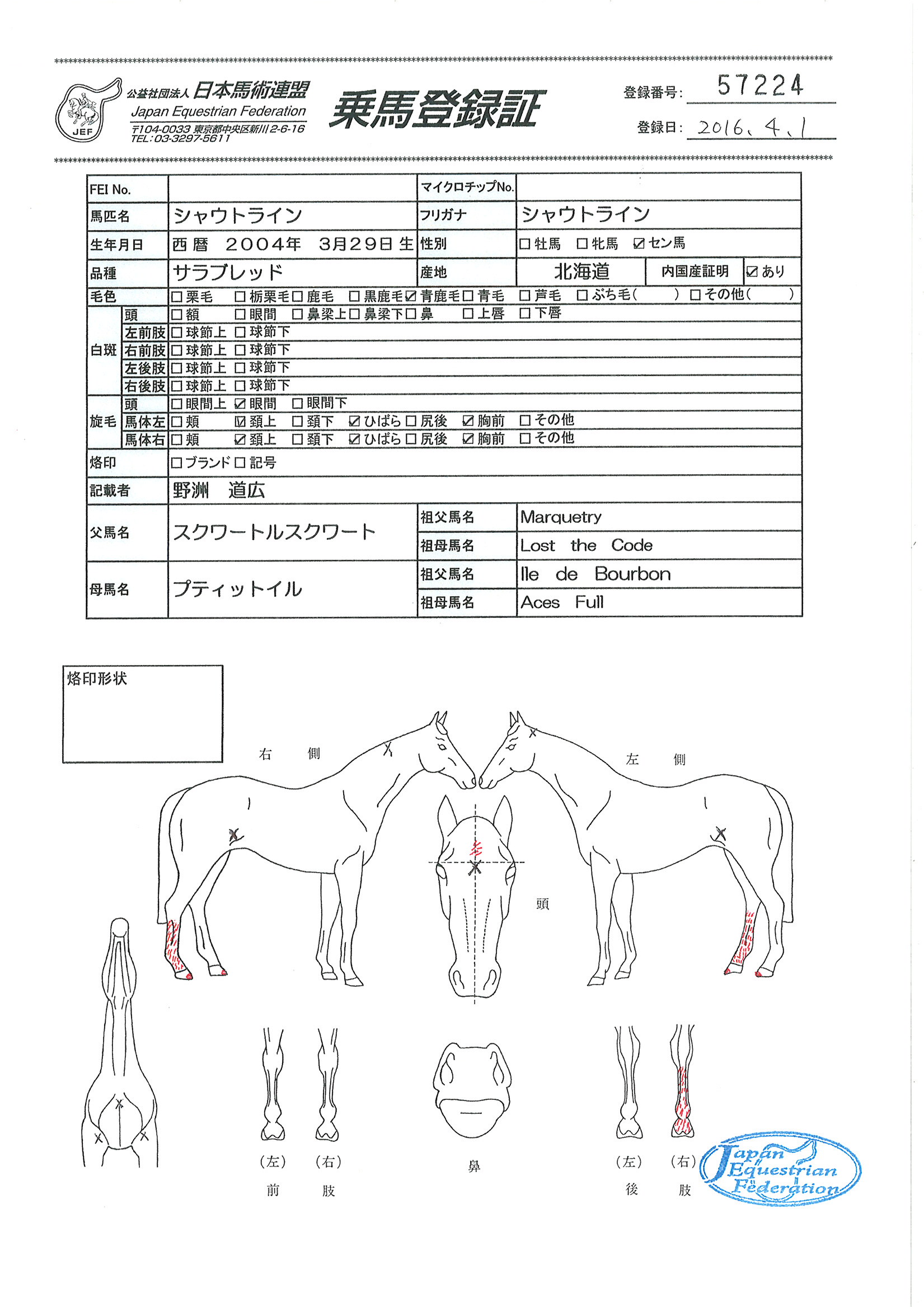 乗馬登録証