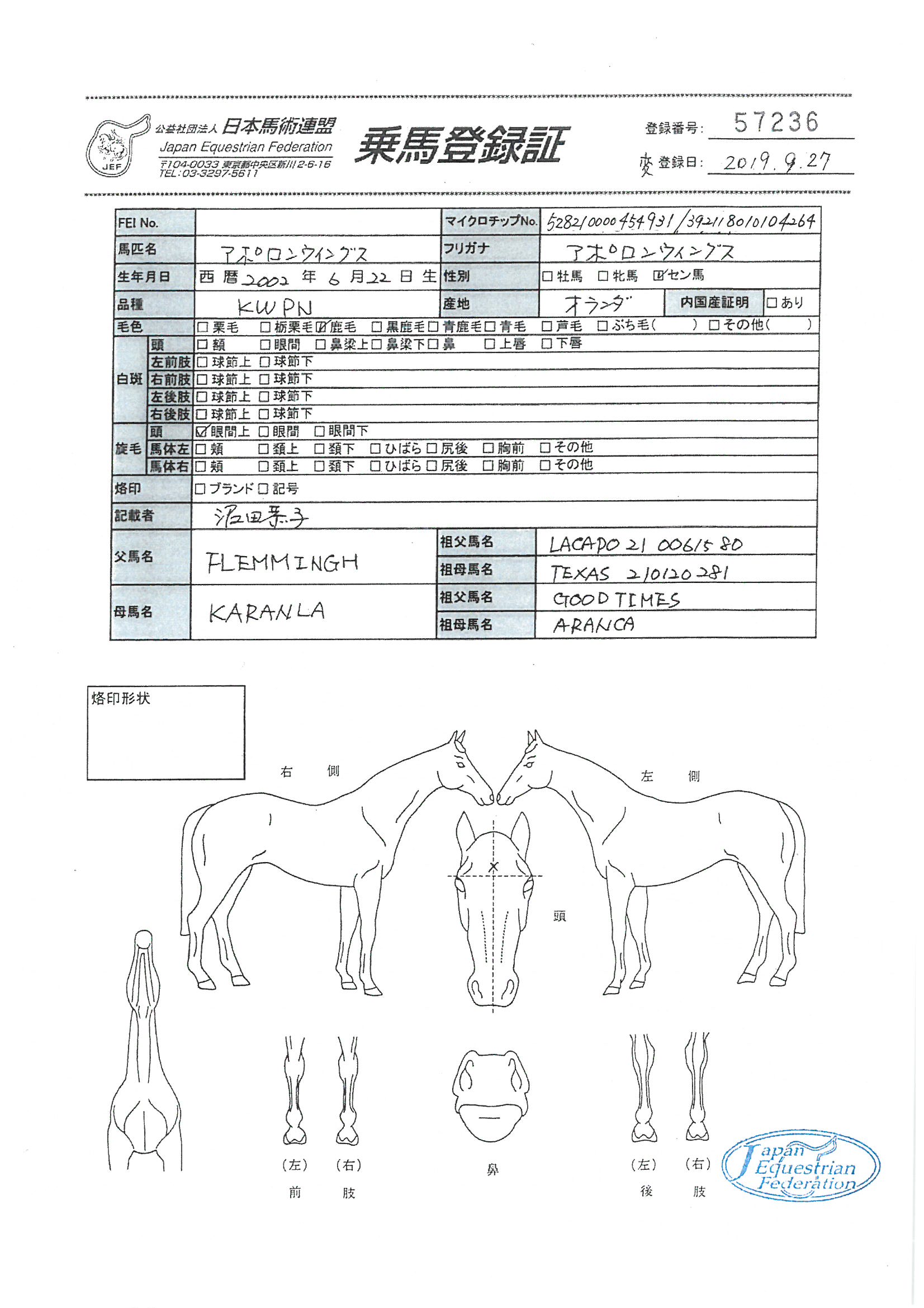 乗馬登録証