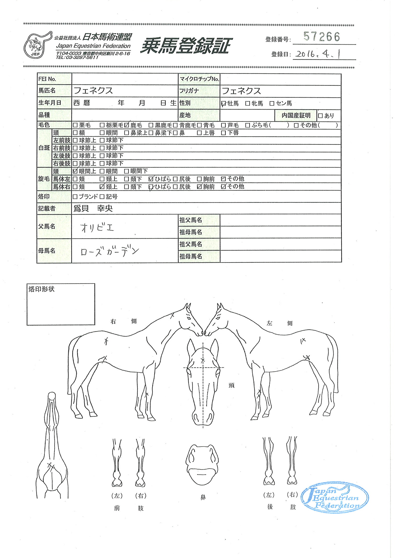 乗馬登録証