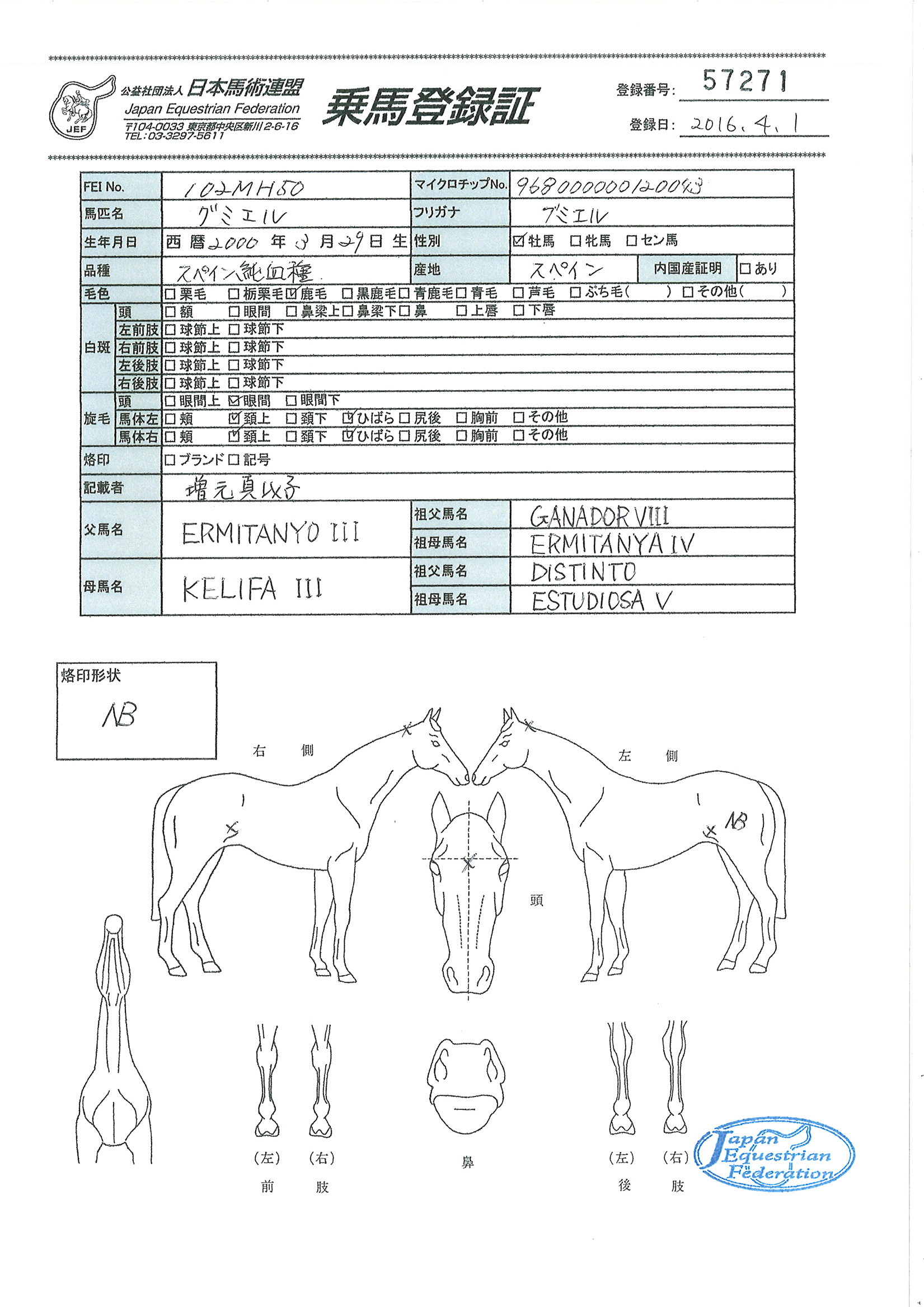 乗馬登録証