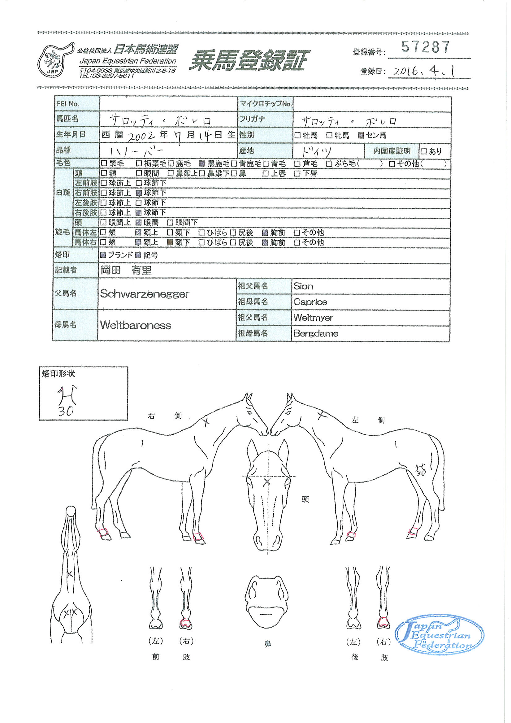 乗馬登録証
