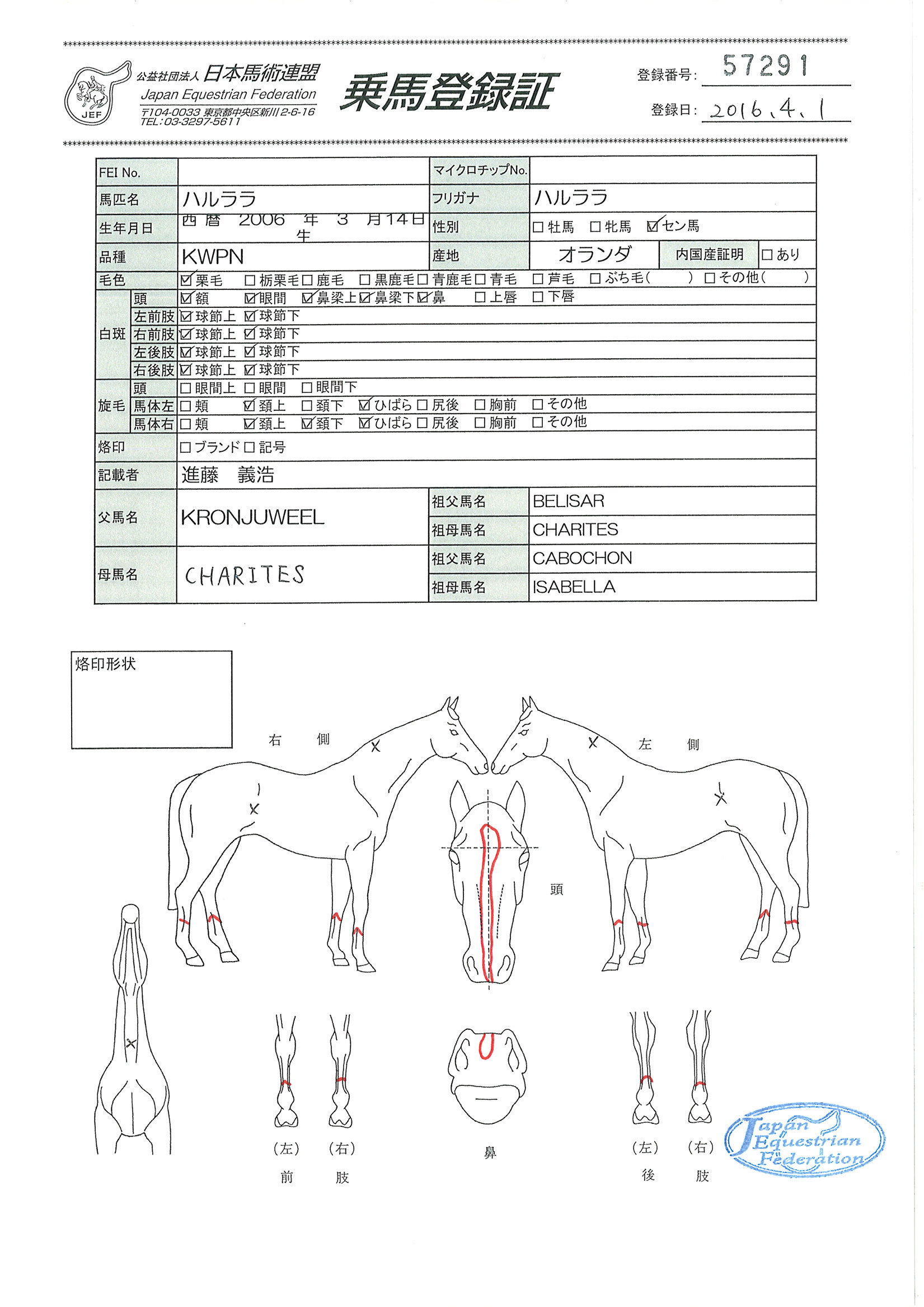 乗馬登録証