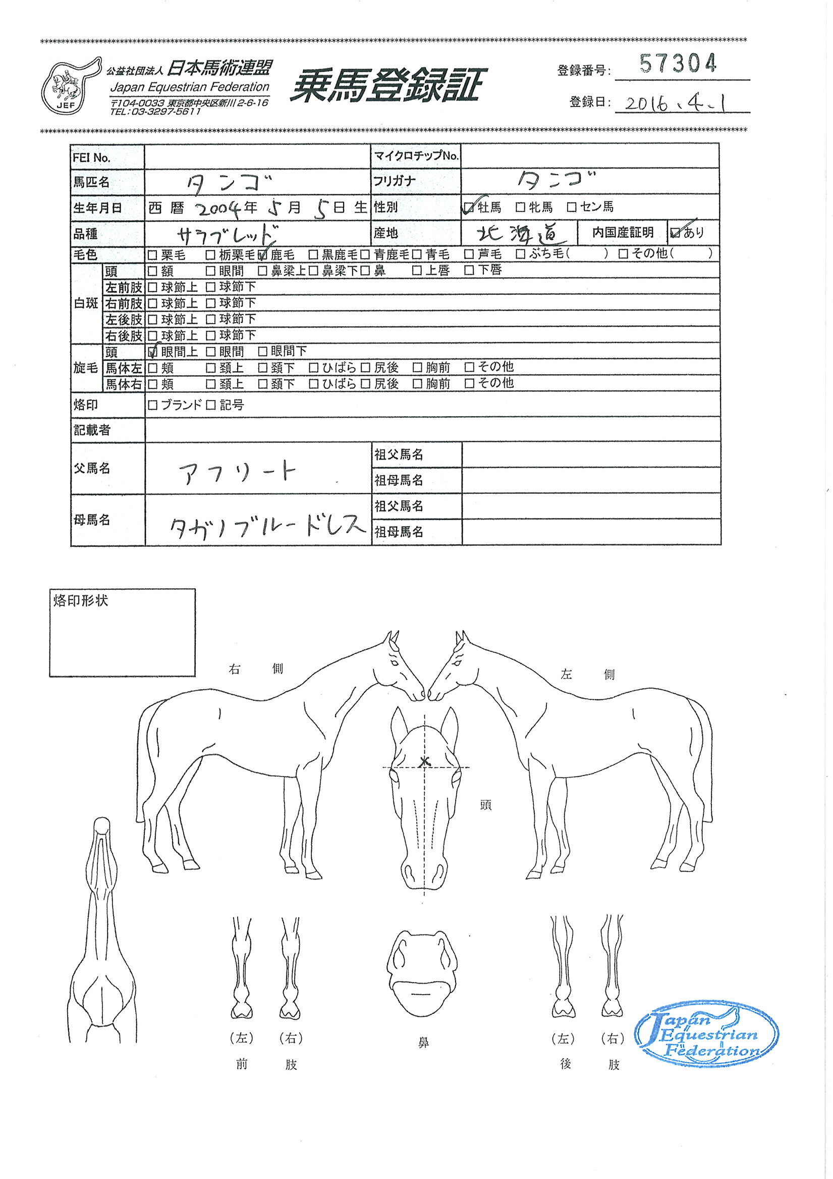 乗馬登録証