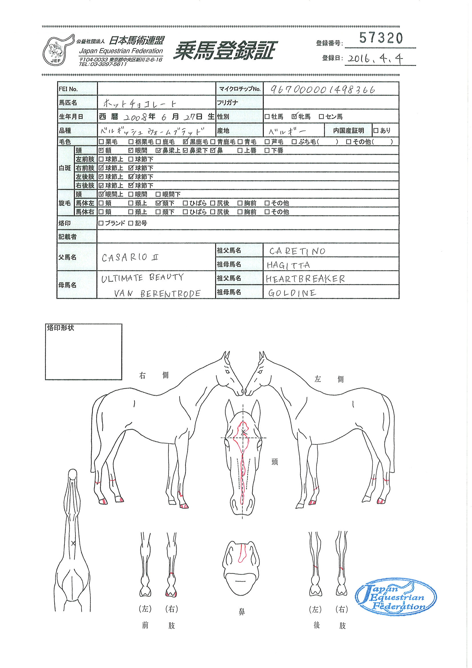 乗馬登録証
