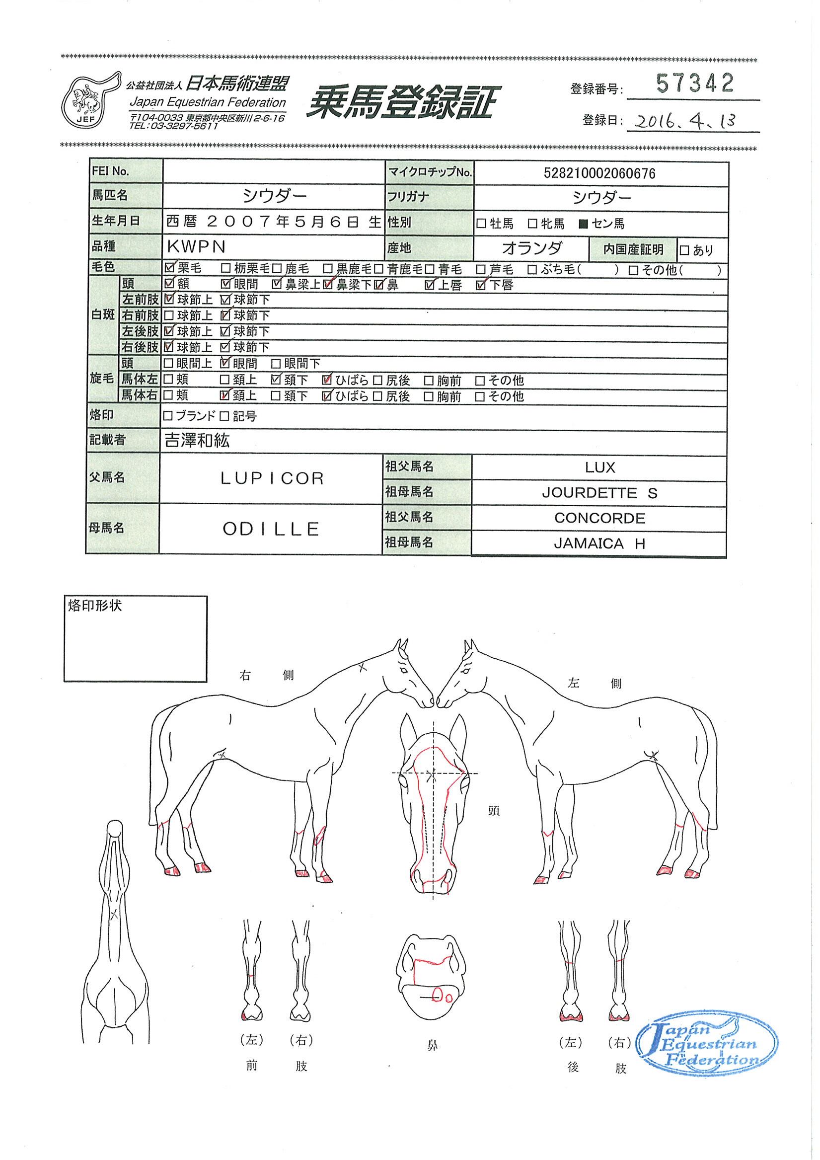 公益社団法人 日本馬術連盟 《Japan Equestrian Federation