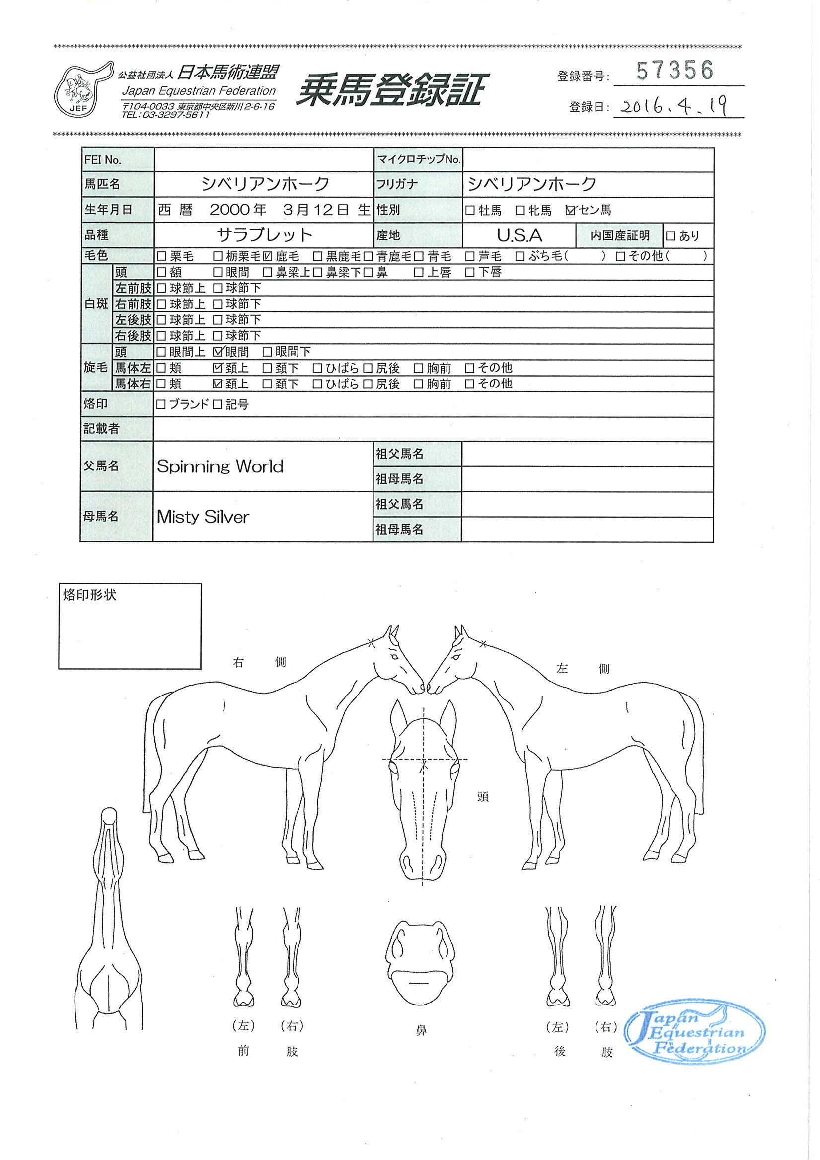乗馬登録証