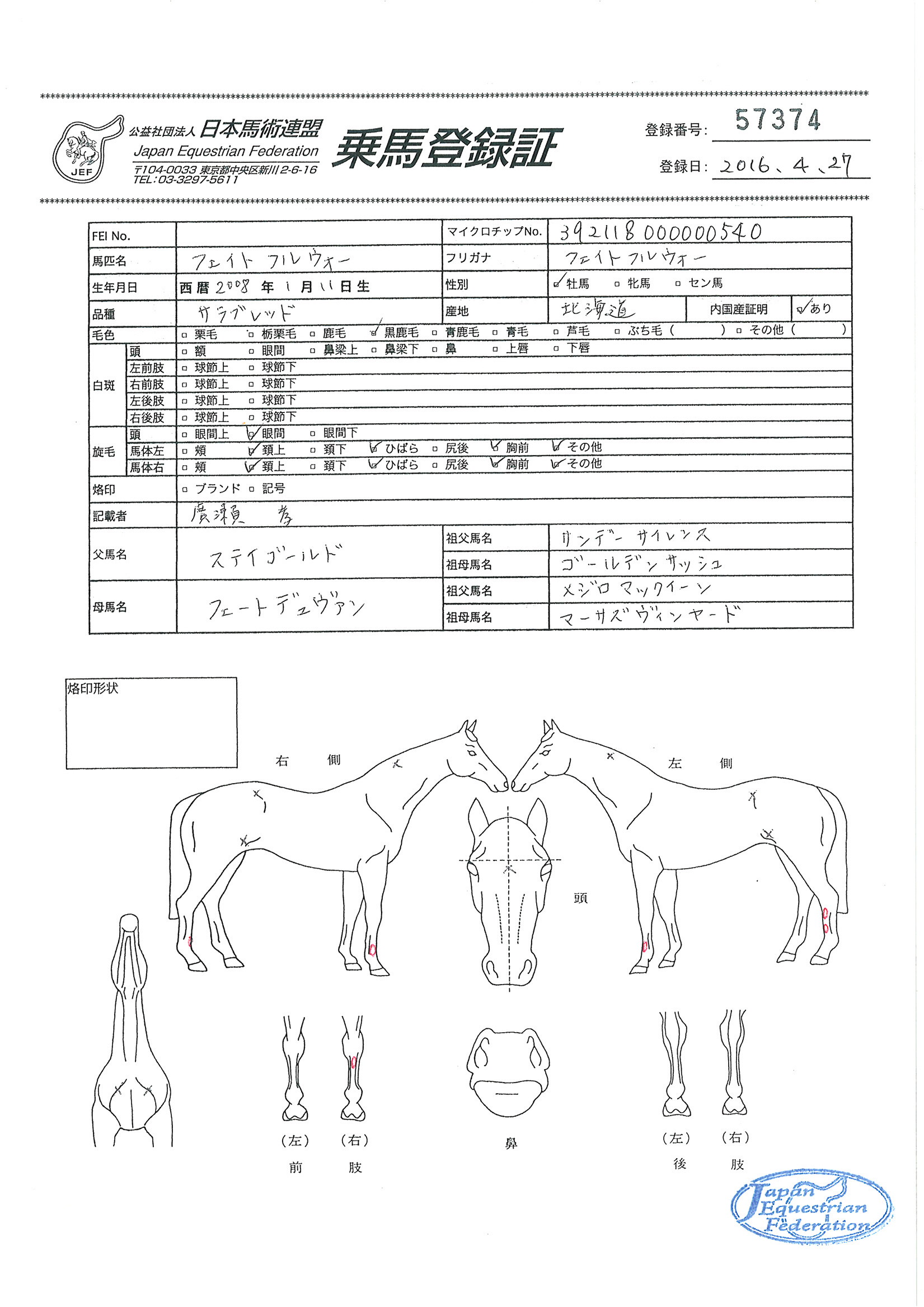 乗馬登録証