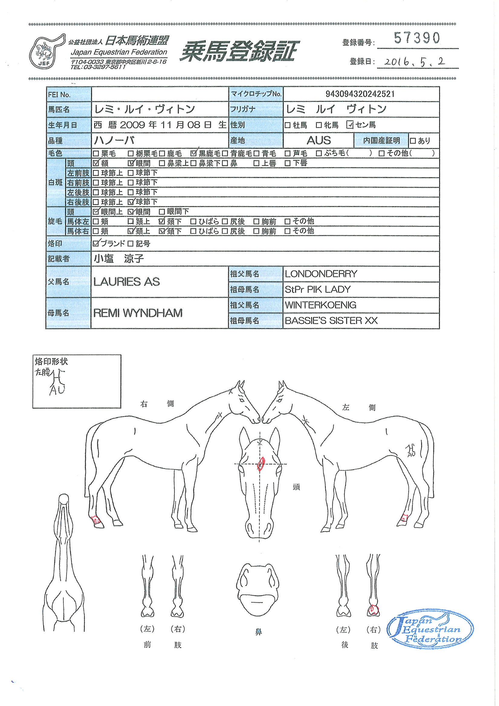 乗馬登録証