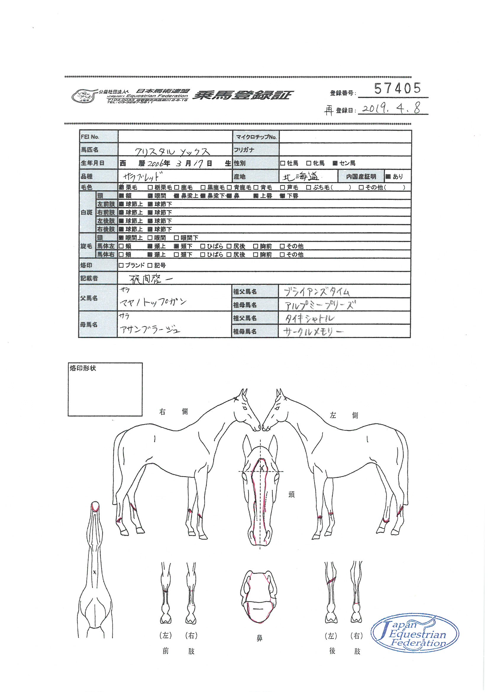 乗馬登録証