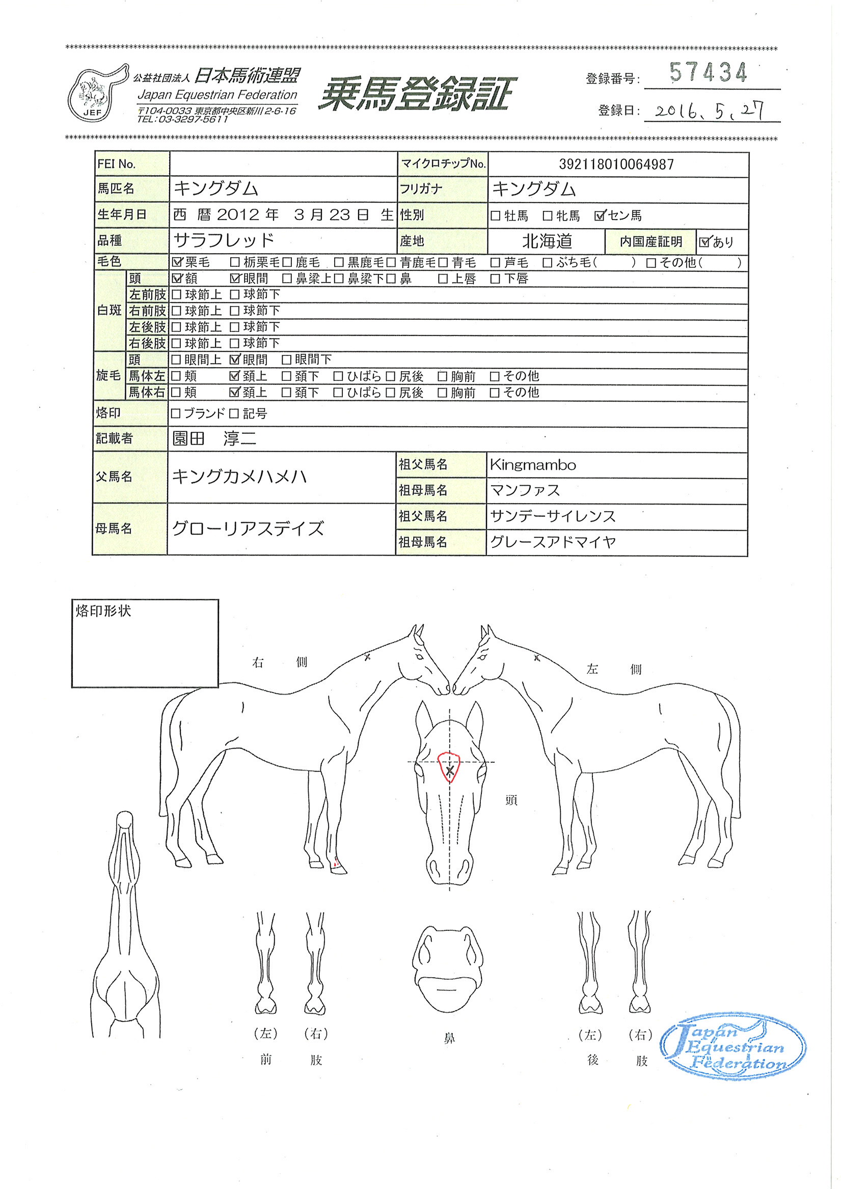 乗馬登録証