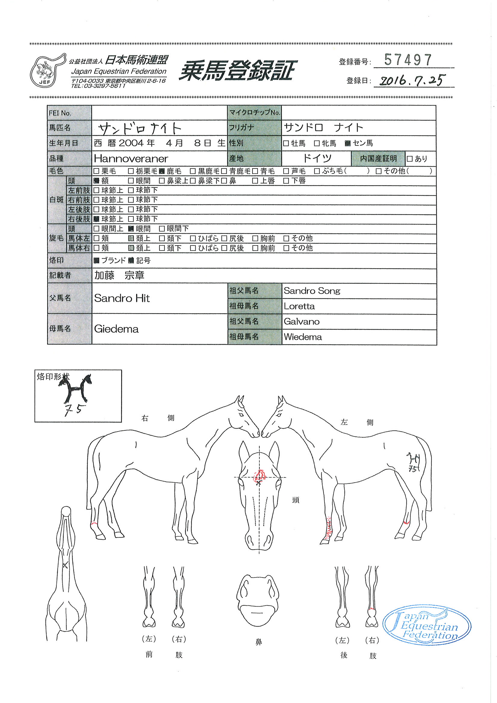 公益社団法人 日本馬術連盟 《Japan Equestrian Federation