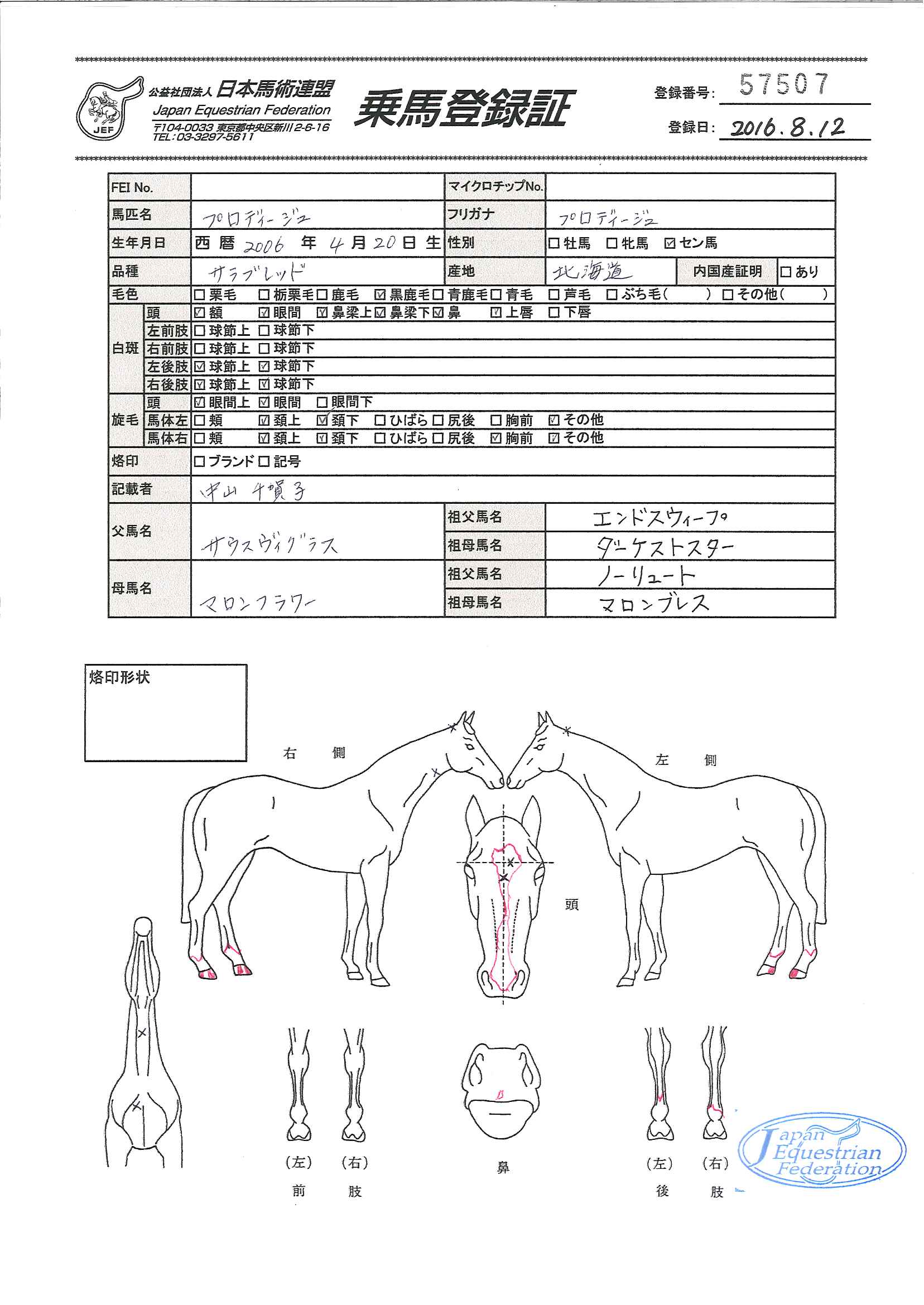 乗馬登録証