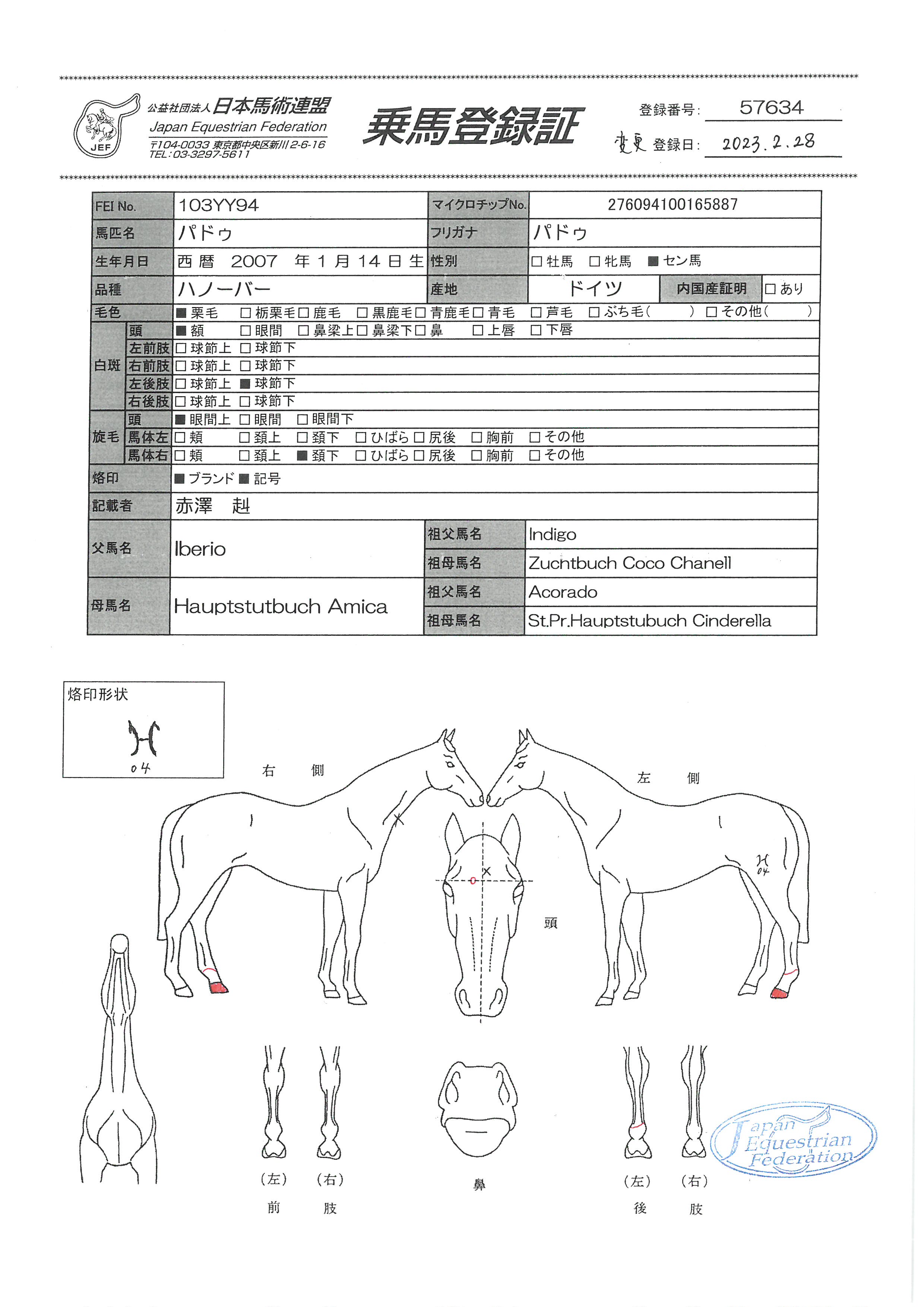 乗馬登録証