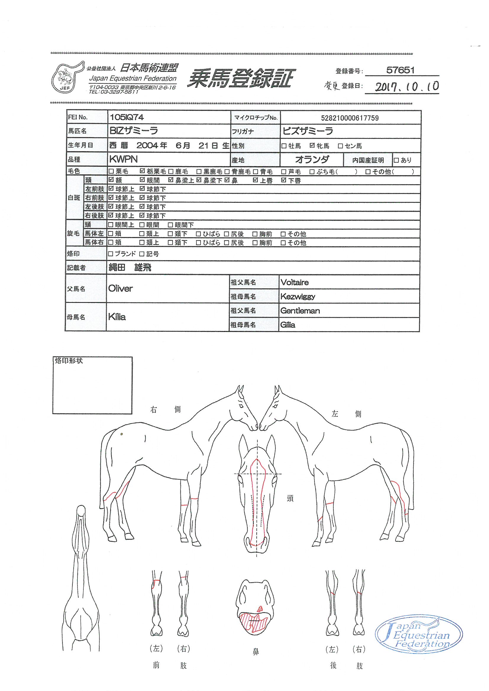 乗馬登録証