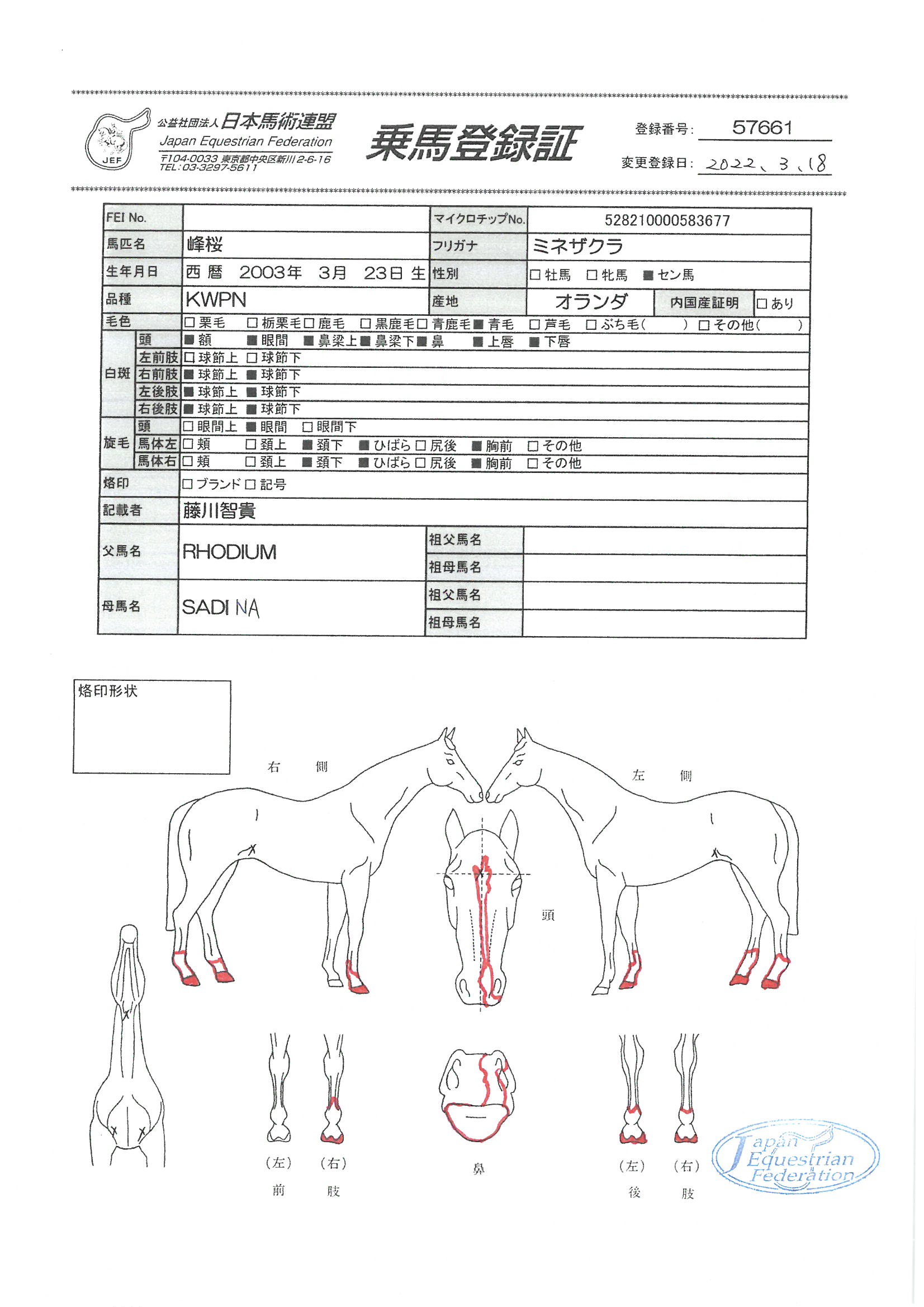 馬の考古学　サイン付き セレクトセール2025・2日目】アルゼンチンGⅠ勝ち馬の息子が2億