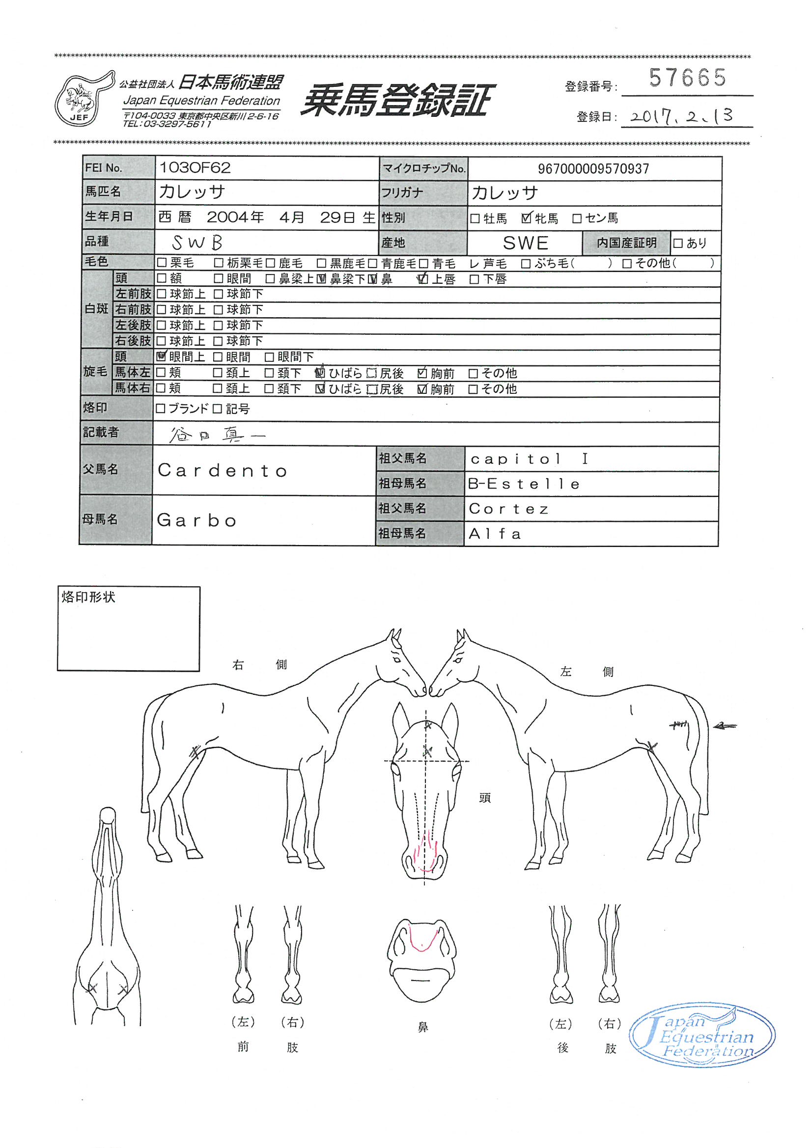 乗馬登録証