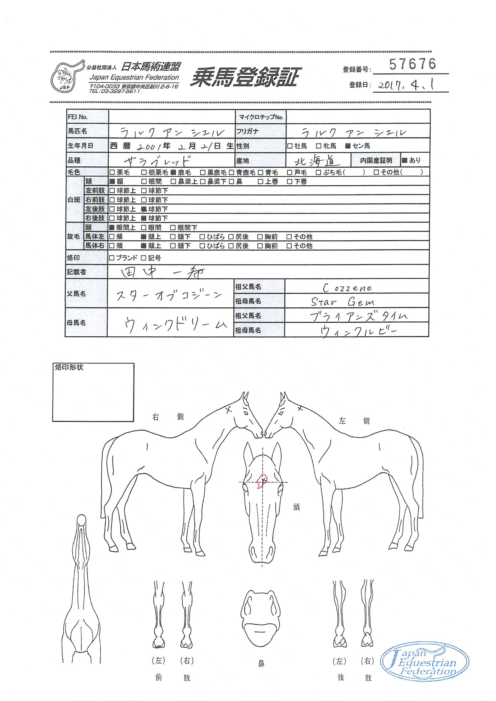 公益社団法人 日本馬術連盟 《Japan Equestrian Federation