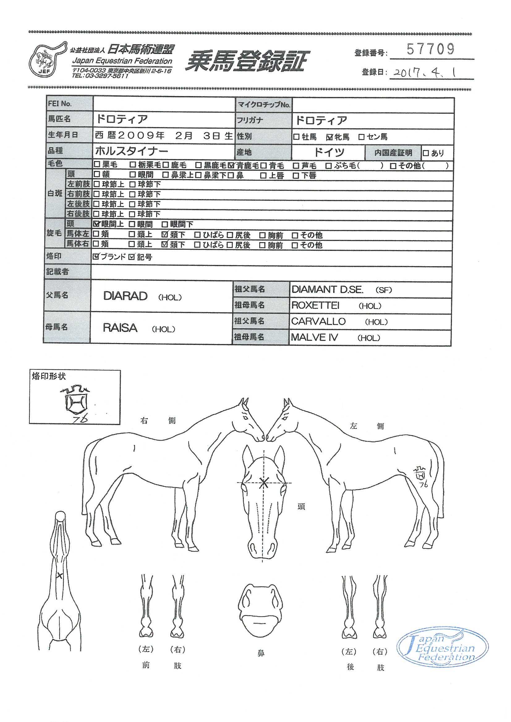 乗馬登録証