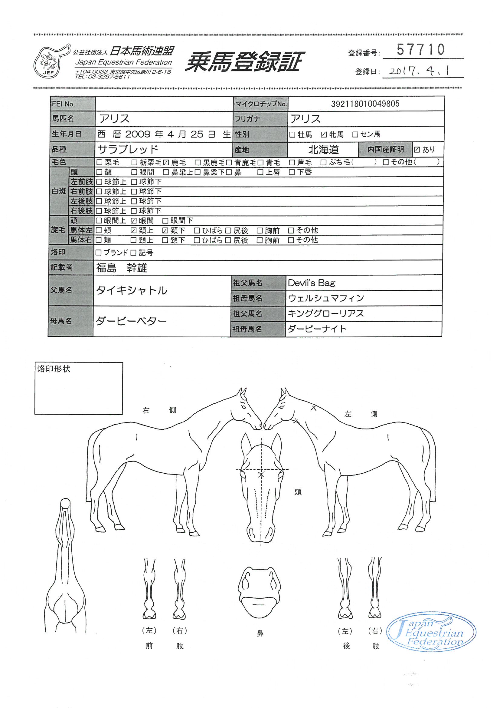 乗馬登録証