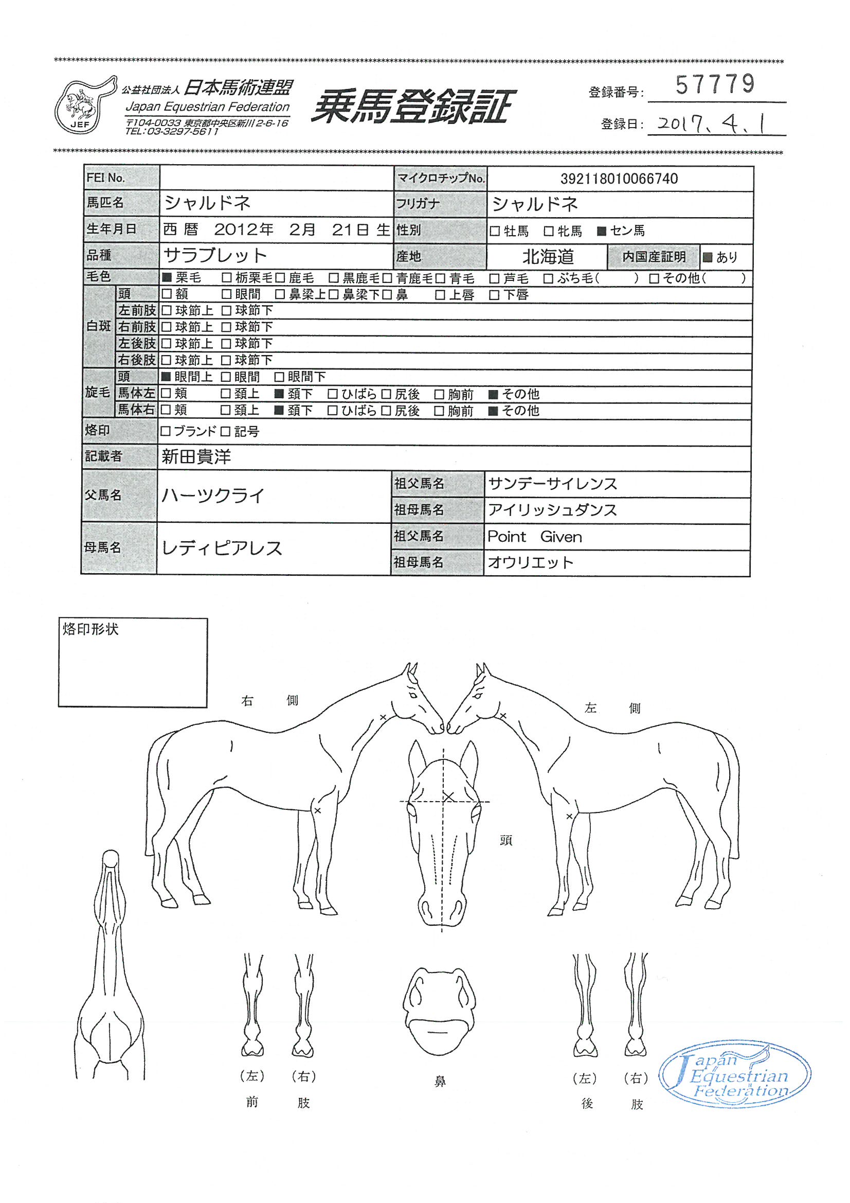乗馬登録証