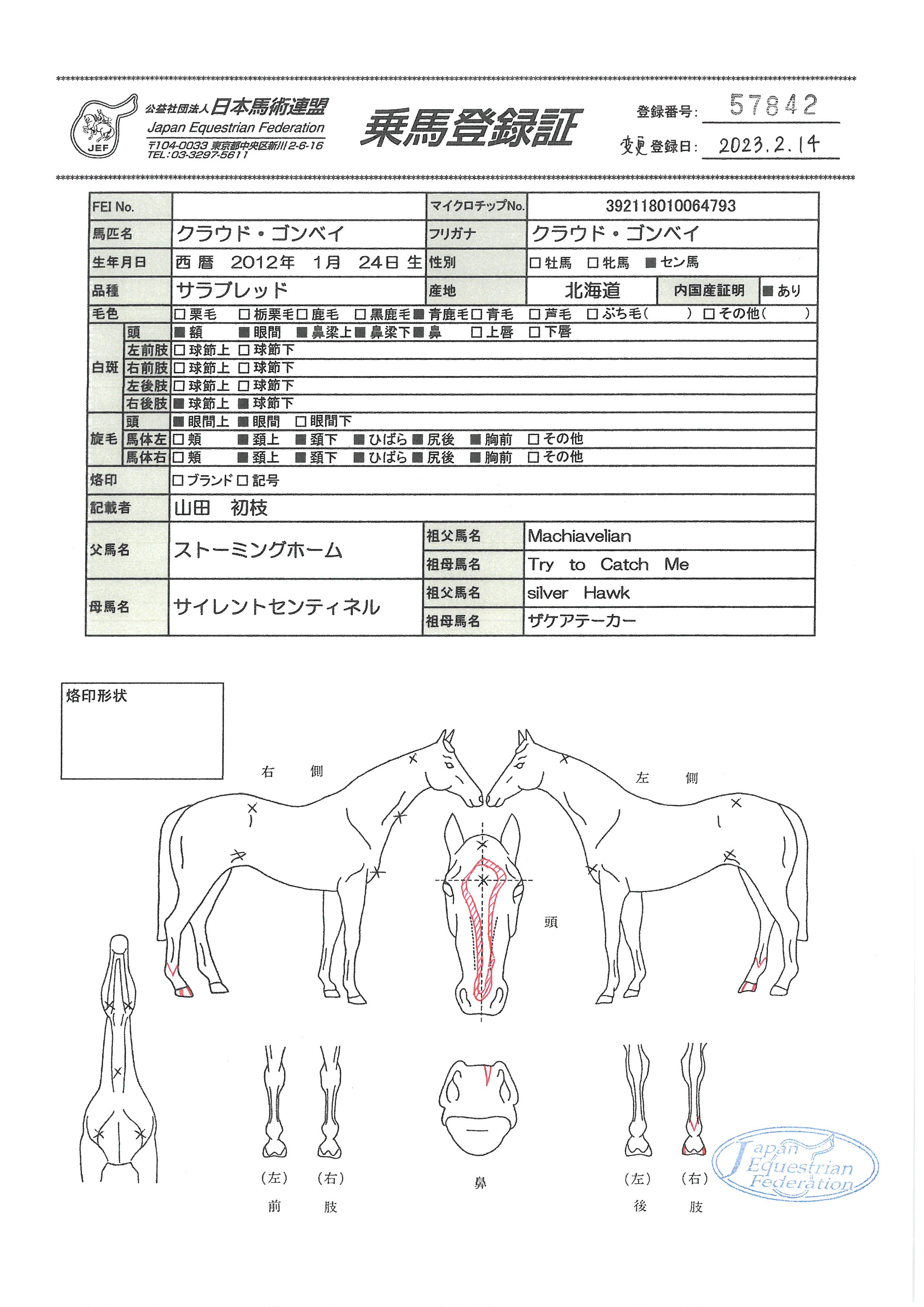 公益社団法人 日本馬術連盟 《Japan Equestrian Federation